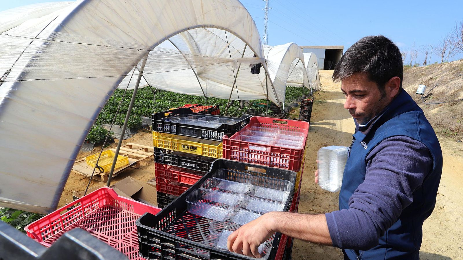 La realidad del campo onubense.