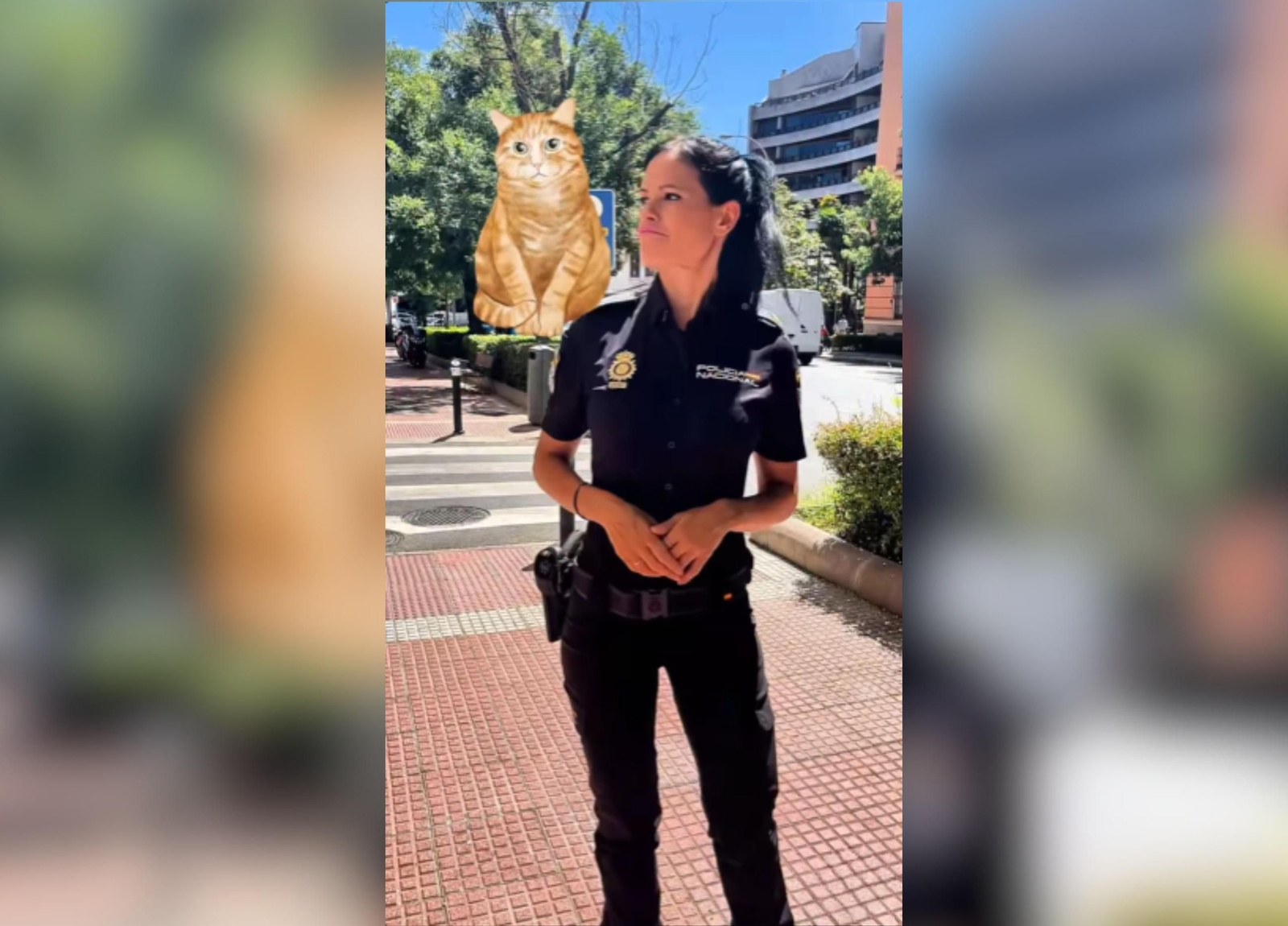 La Policía Nacional ha dado el aviso sobre un nuevo timo, la estafa del gato.