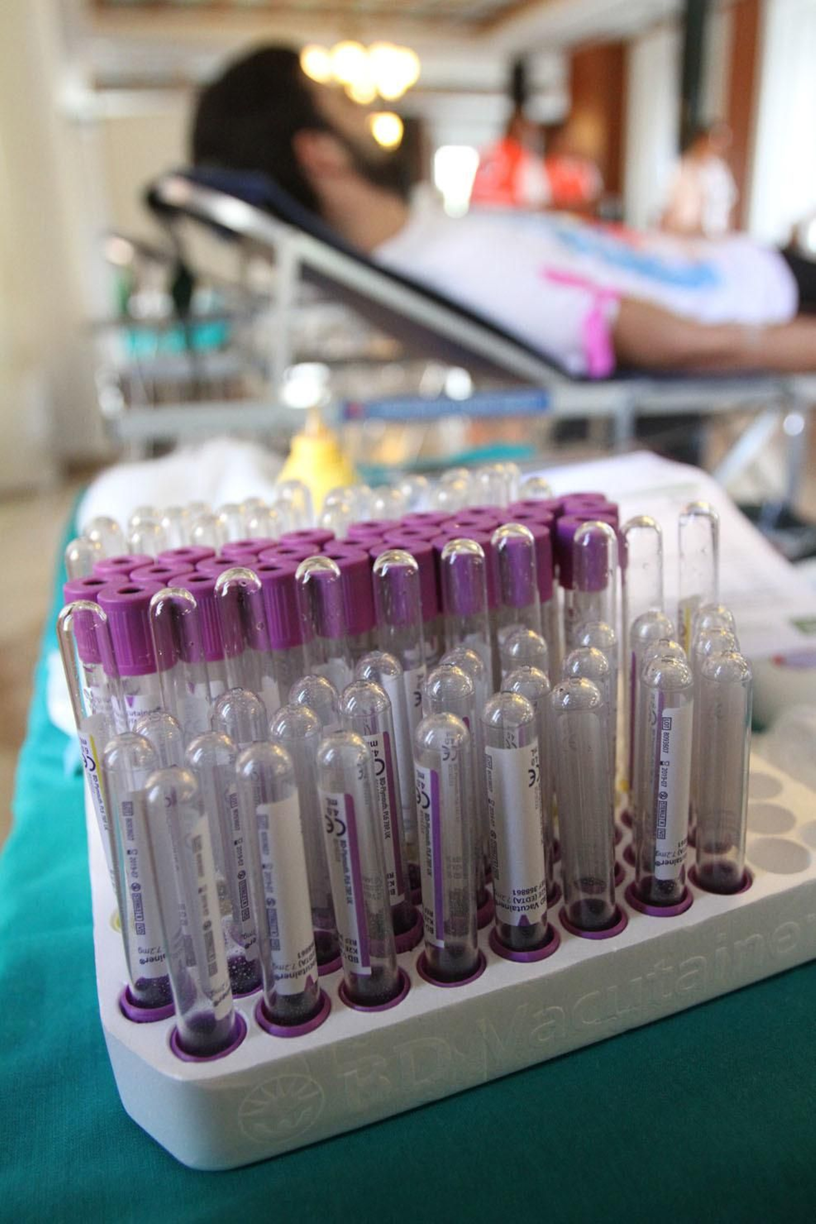 Macrocolecta de sangre en la Casa Colón