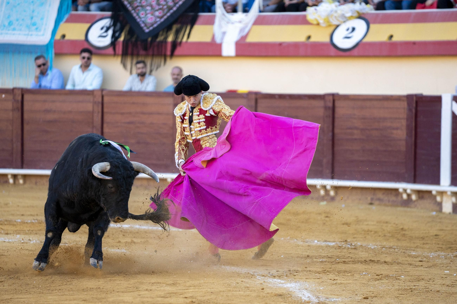 Las imágenes de los toros en Vera