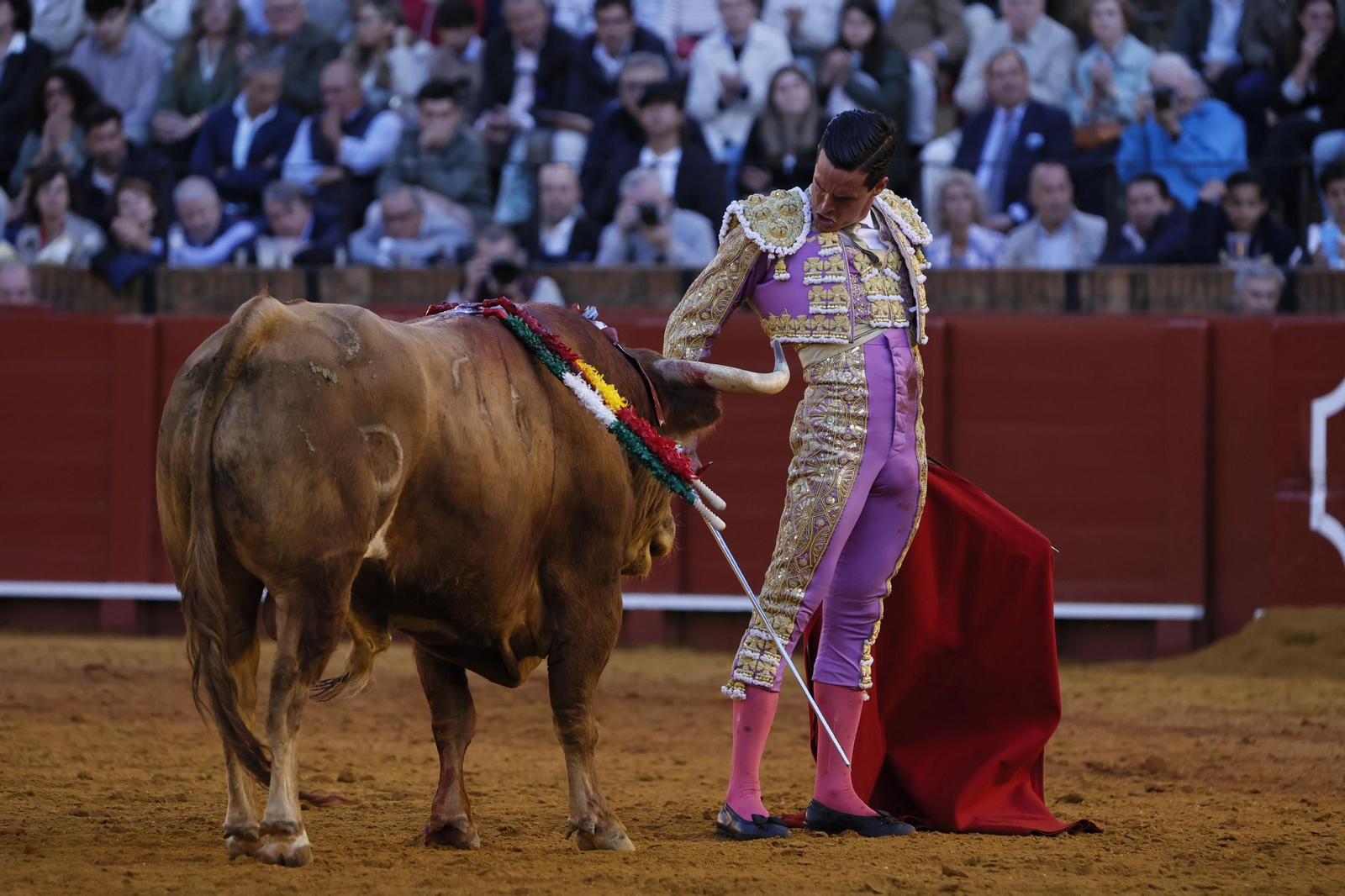 Las Imágenes del festejo