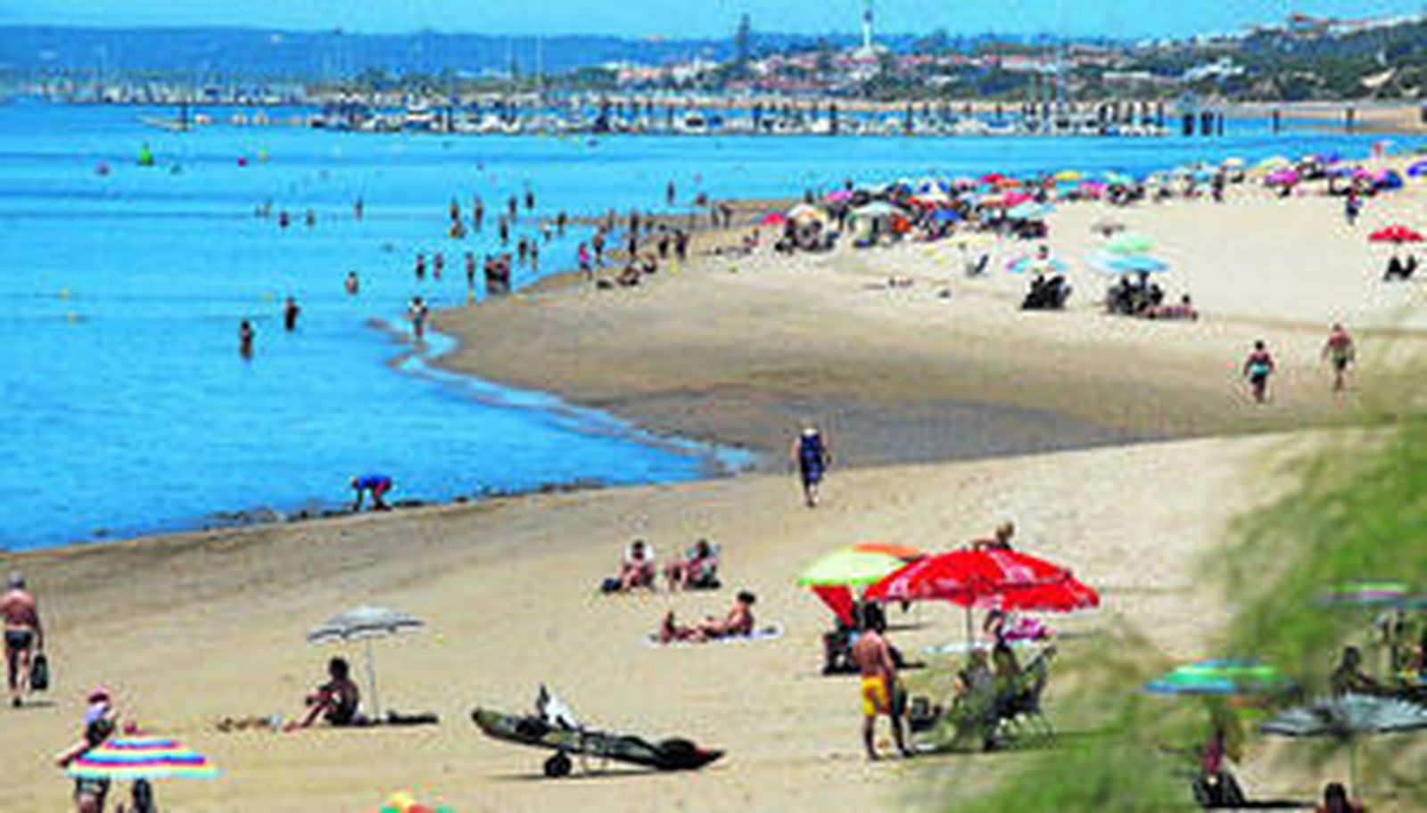 Donde se funden la playa y el pinar