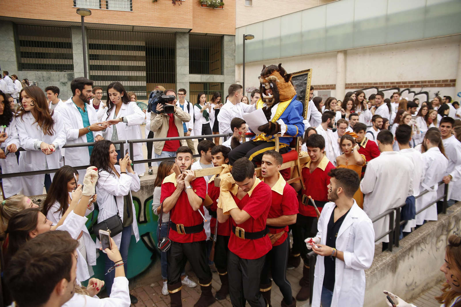 Las imágenes de San Lucas