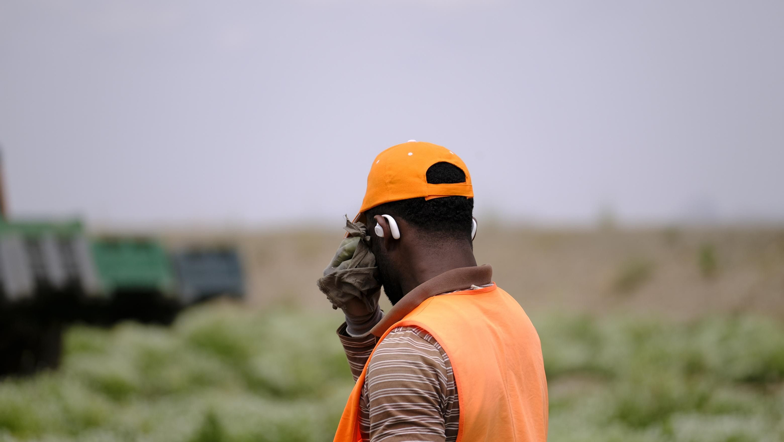 La sandía y el melón de Huércal Overa, manjares en imágenes