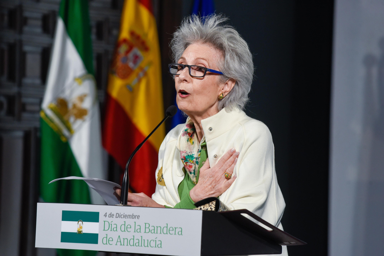 El primer Día de la Bandera, en imágenes