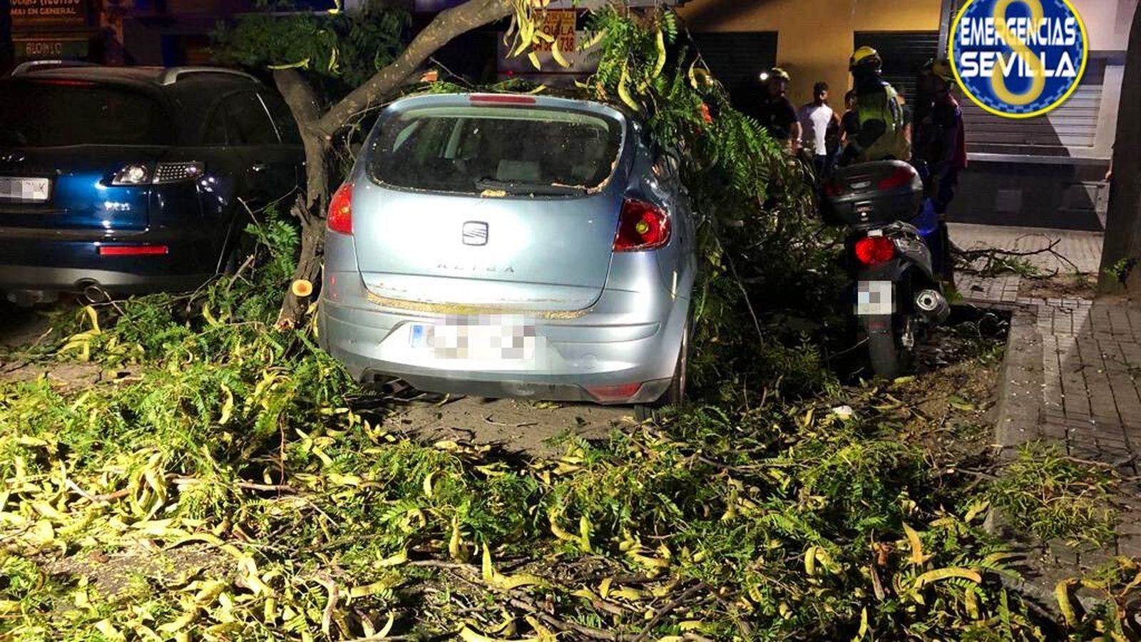 La rama caída en la calle Canal.