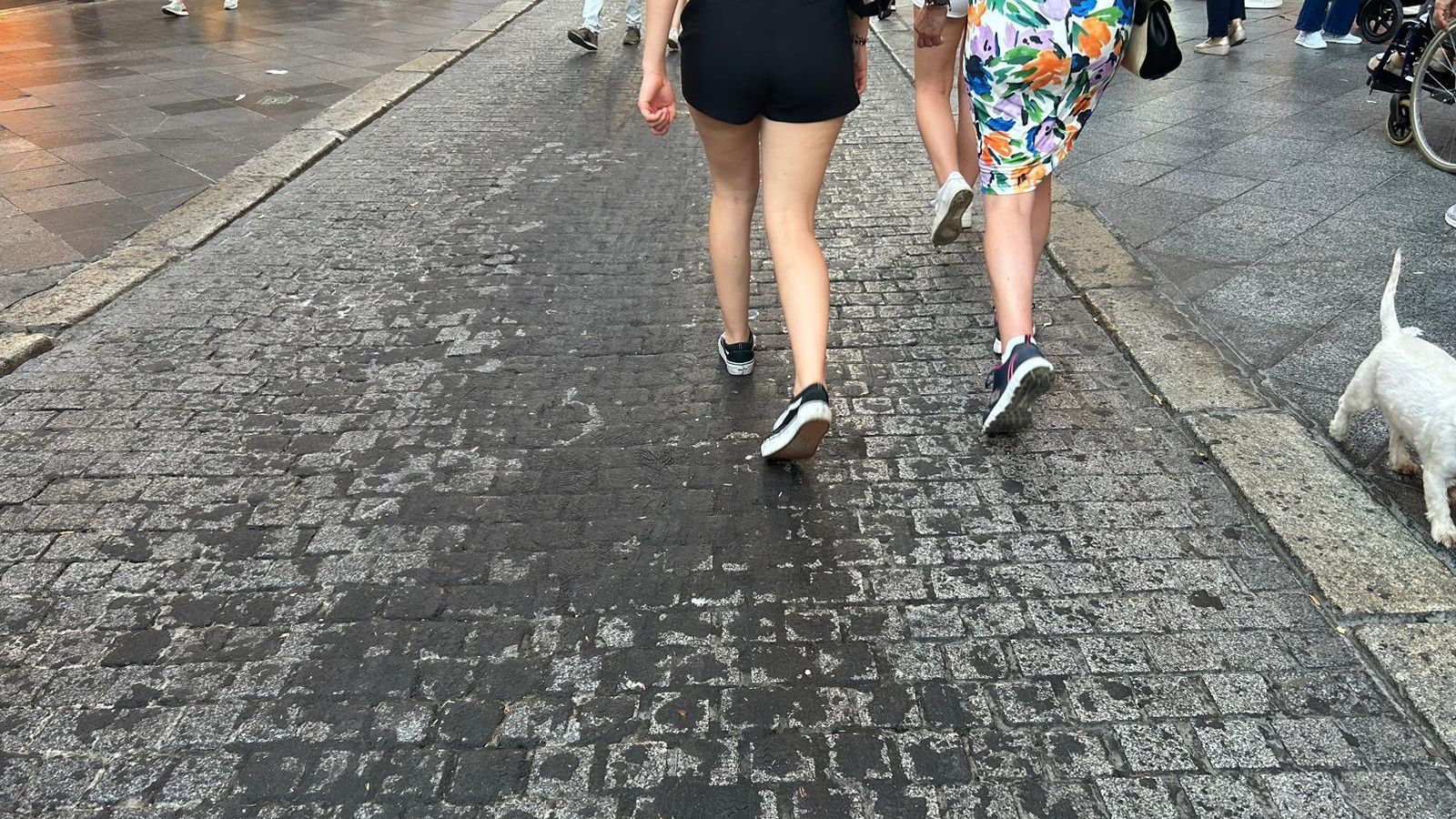 Más cera sobre las calles peatonales del centro