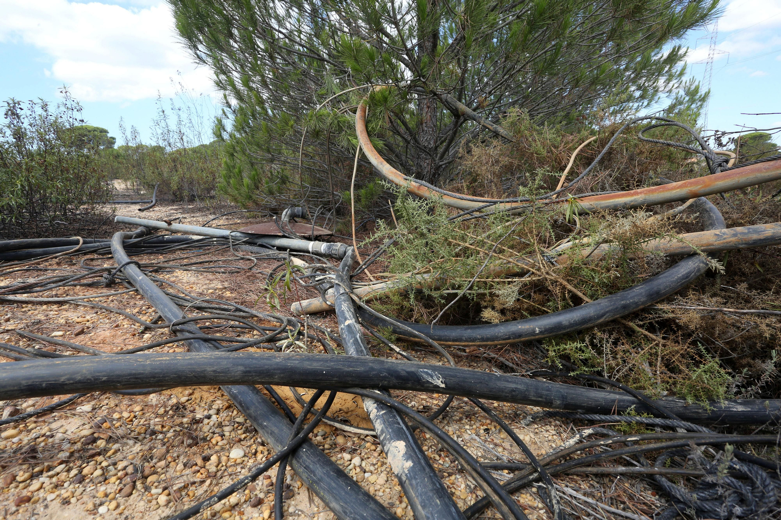 Imágenes del cierre de los pozos de Lucena por la Guardia Civil y la Confederación Hidrográfica del Guadalquivir