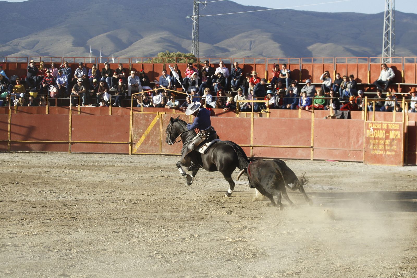 Fotogalería Festival Taurino Mixto. Fiestas de Abrucena.