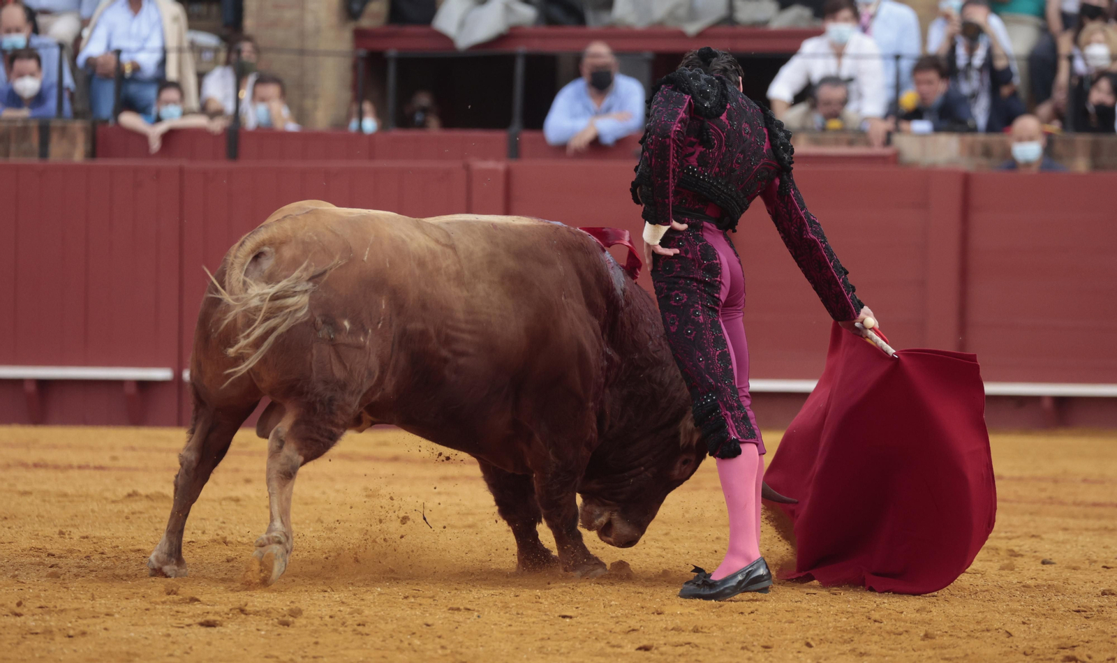 Las imágenes del triunfo de Morante en San Miguel