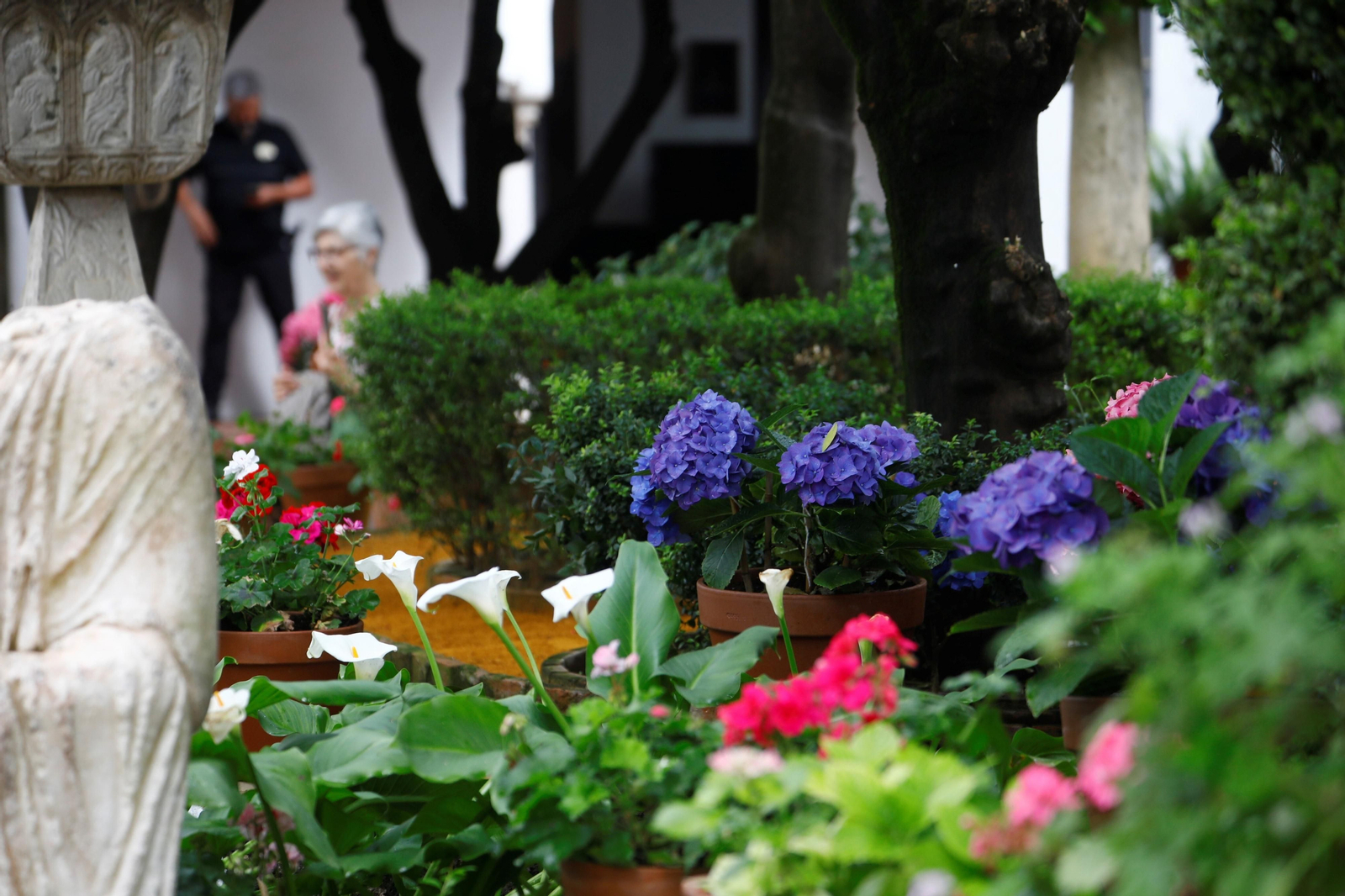 Los patios de Córdoba de la ruta Judería-San Francisco, en imágenes