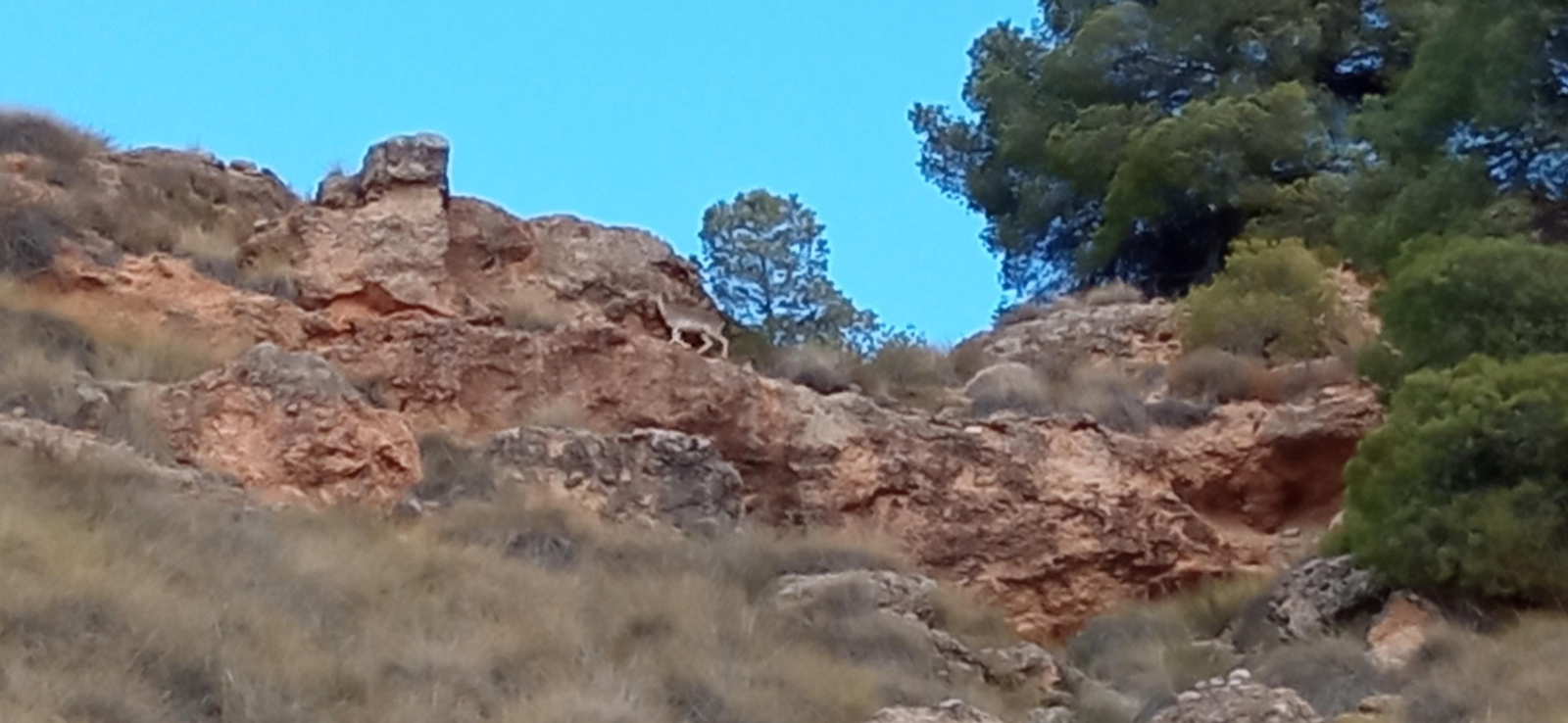 Las imágenes de la ruta Hinojares - Cuenca - Hinojares