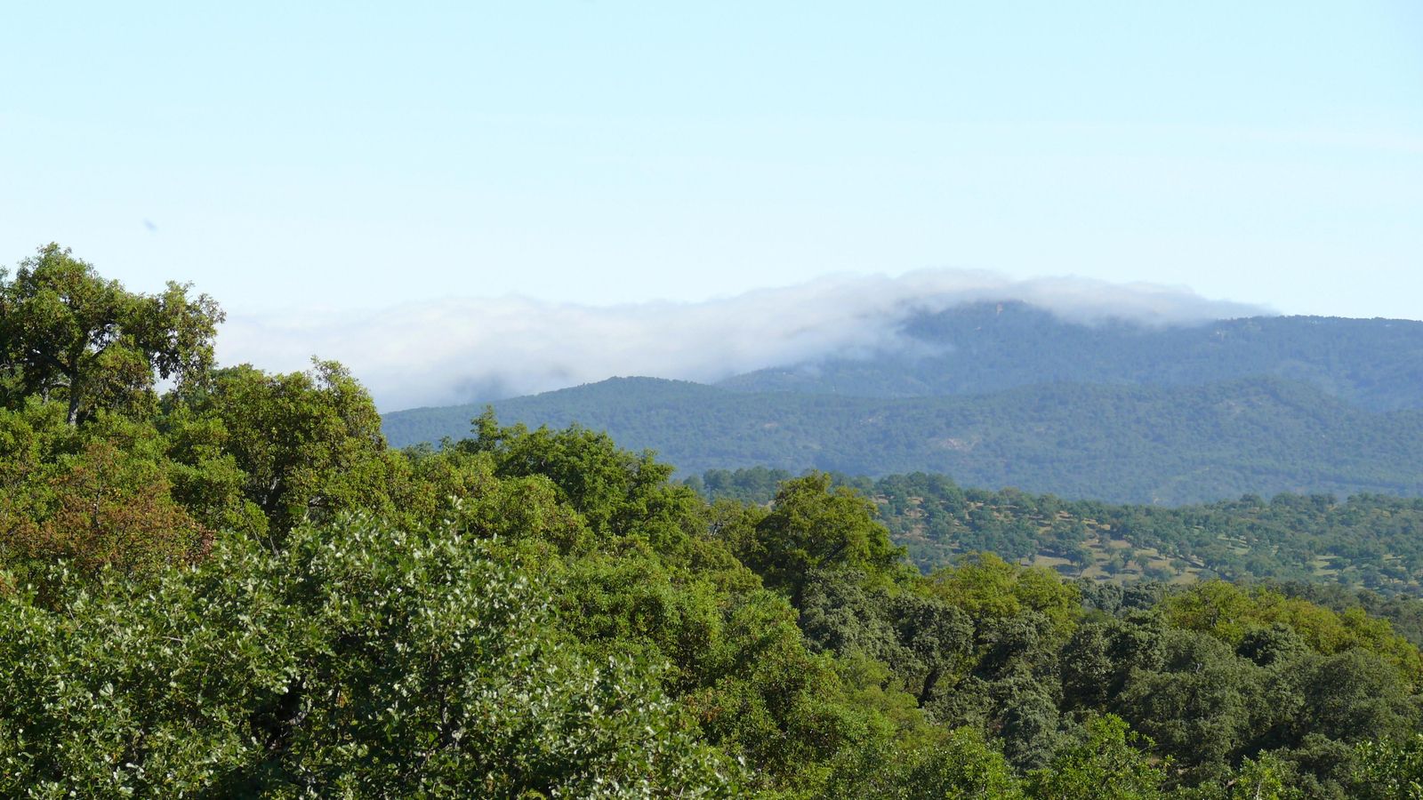 Las imágenes de la ruta del Teuler