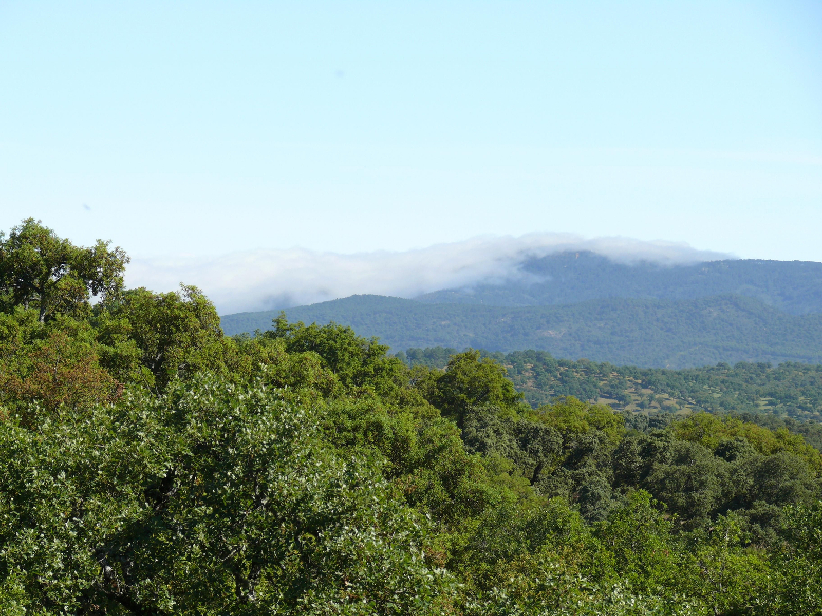Las imágenes de la ruta del Teuler