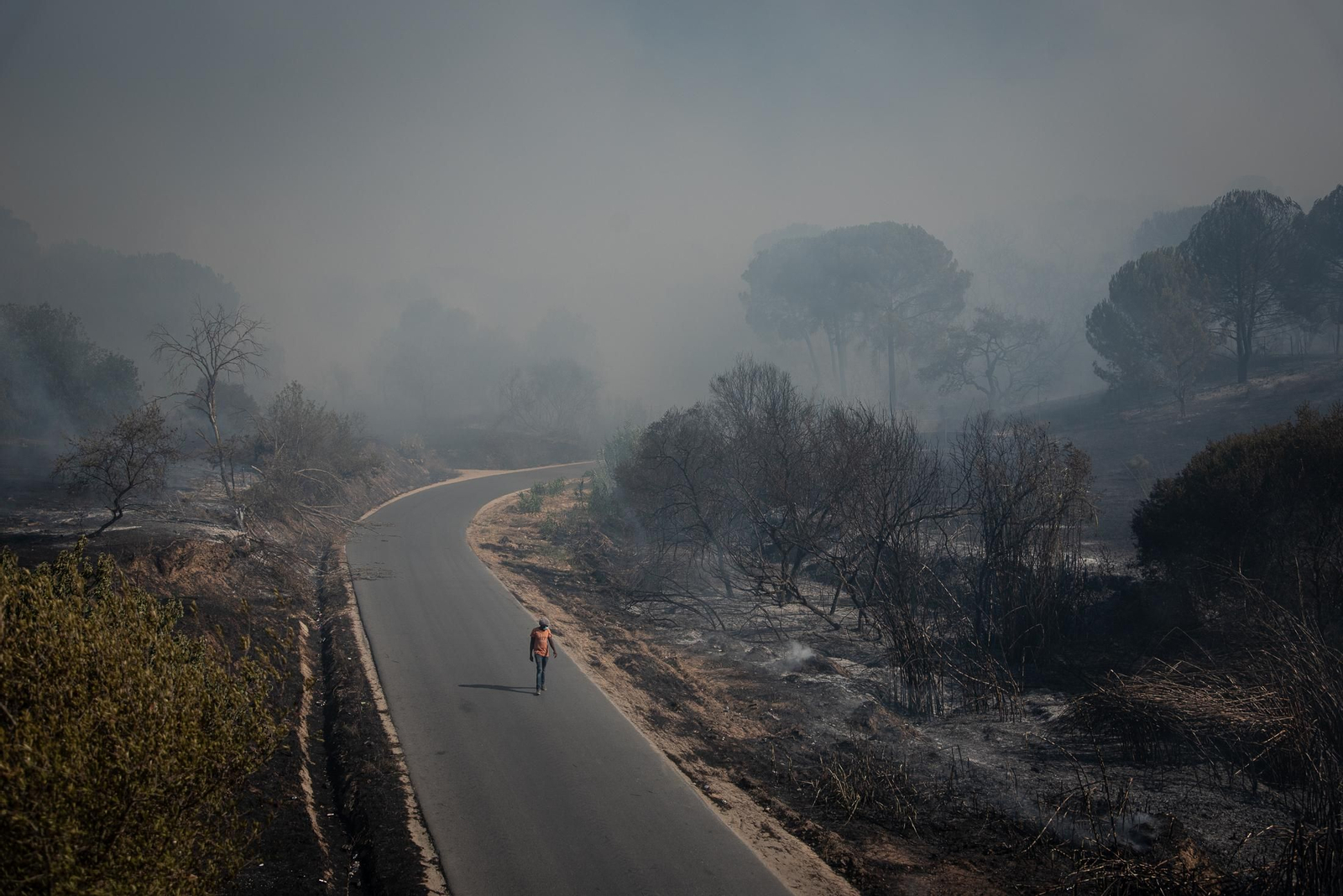 El incendio de Lucena del Puerto en imágenes