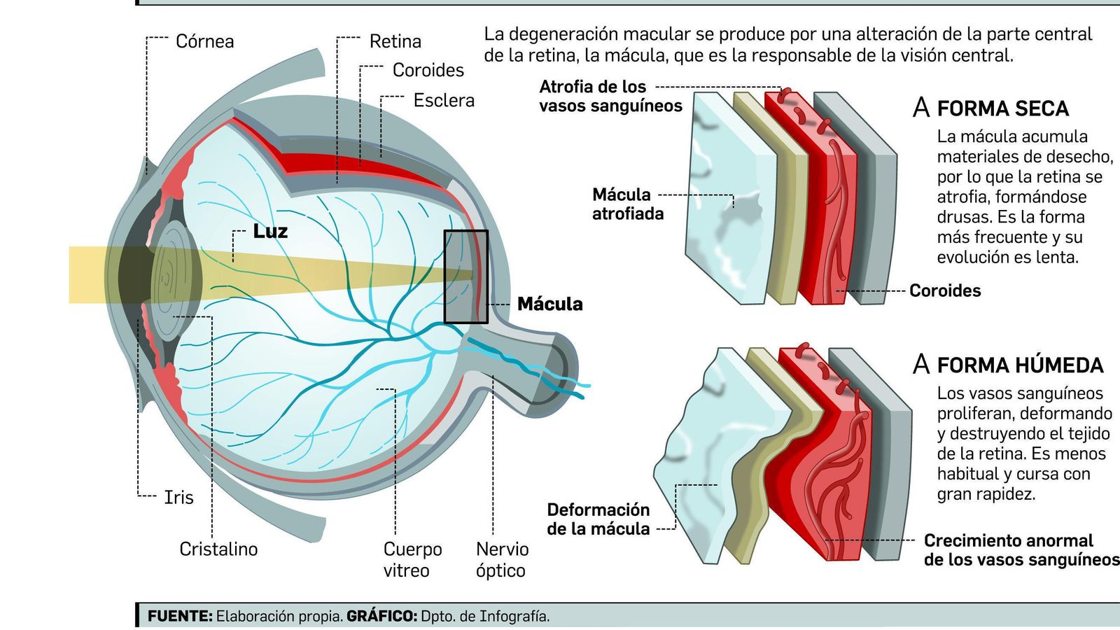 FUENTE: Elaboración propia. GRÁFICO: Dpto. de Infografía.