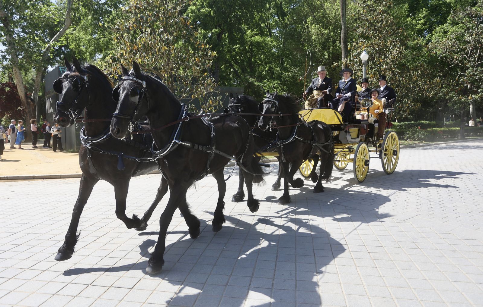 X copa CIAT   Concurso de Enganches