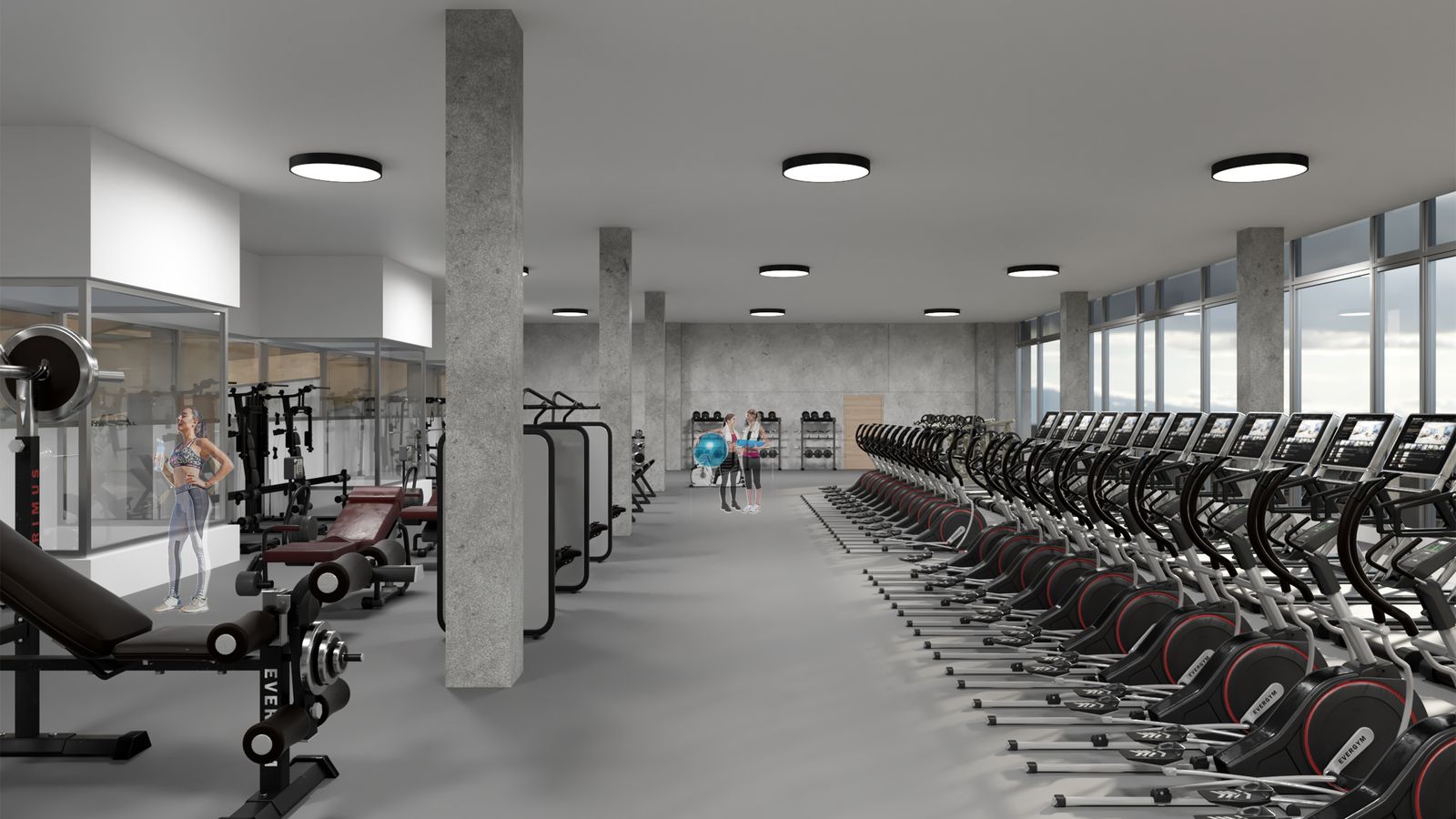 Imagen del gimnasio.