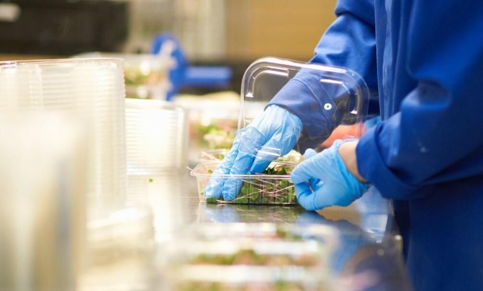 Un operario envasa un producto en un recipiente de plástico. Un operario envasa un producto en un recipiente de plástico.