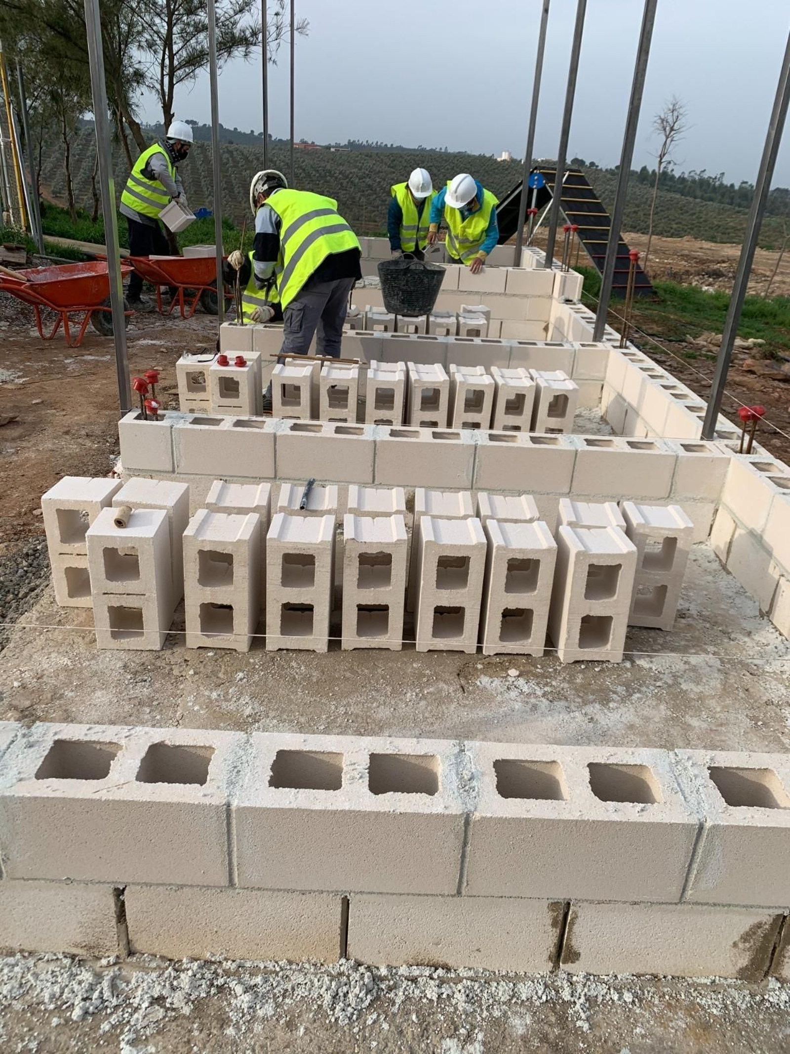 El Programa de Fomento del Empleo Agrario