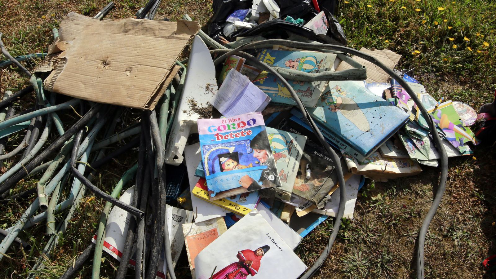 Gran recogida de Zero Waste Jerez con casi 40 voluntarios