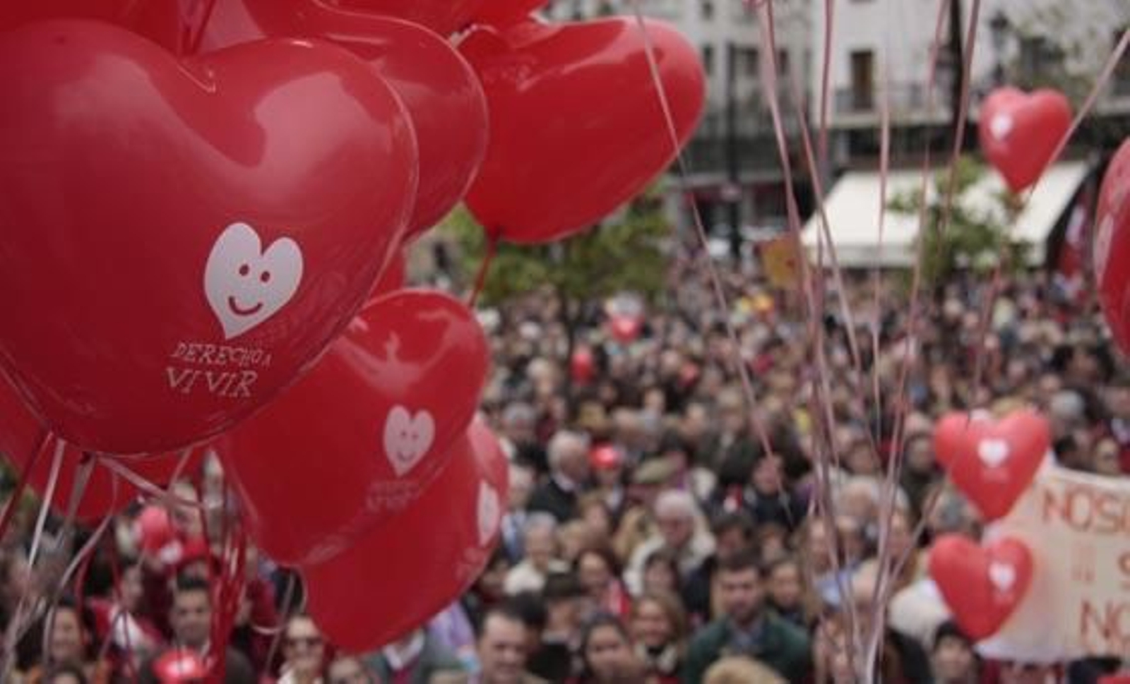 Unas 15.000 personas, según cifras oficiales, se congregaron en la Plaza Nueva para protestar contra el aborto. 

Foto: Victoria Hidalgo