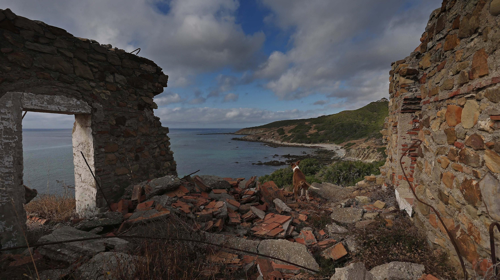 Las mejores fotos del sendero de la Colada de la Costa en Tarifa