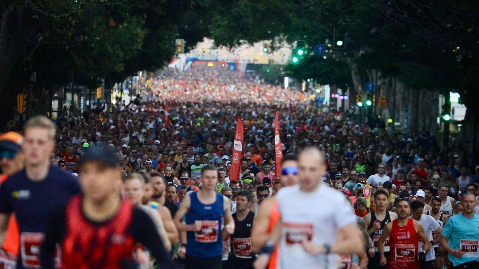 Las mejores fotos de la Maratón de Málaga 2024