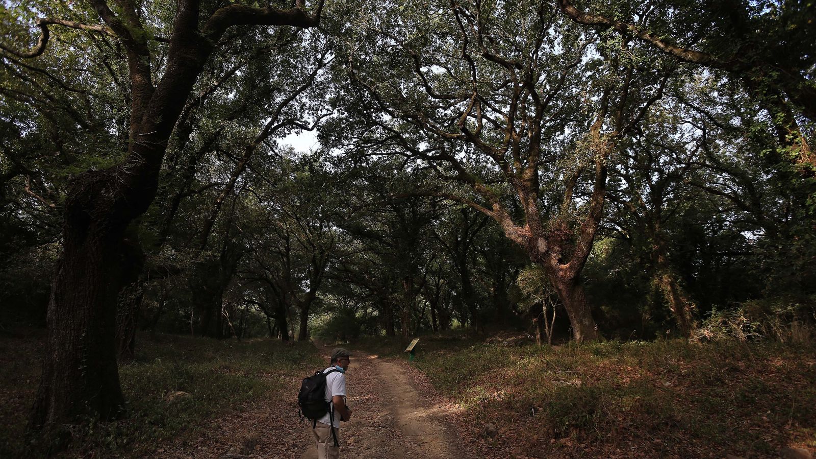 Las mejores fotos de San Carlos del Tiradero