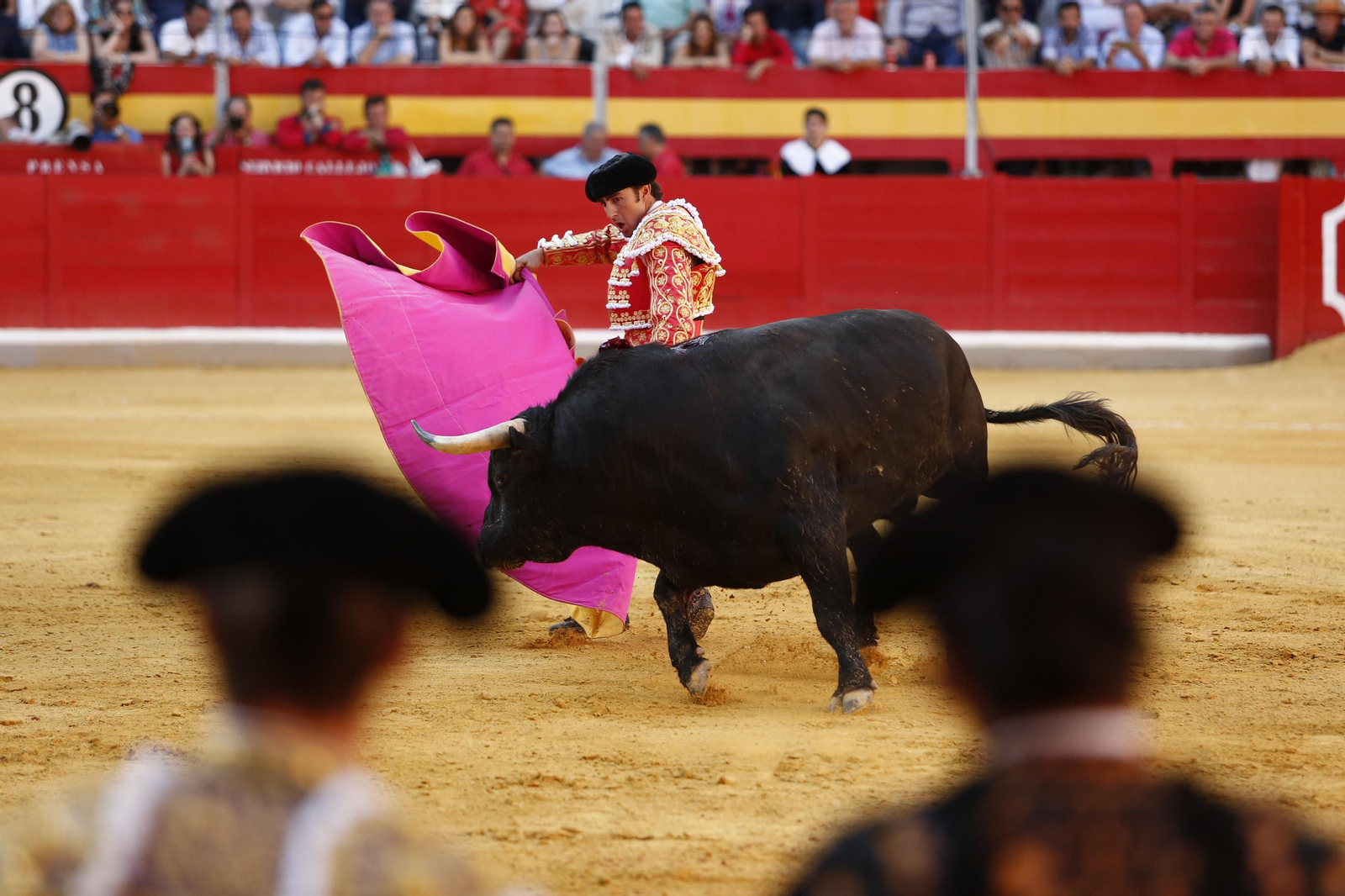Las mejores imágenes de los toros en el Corpus