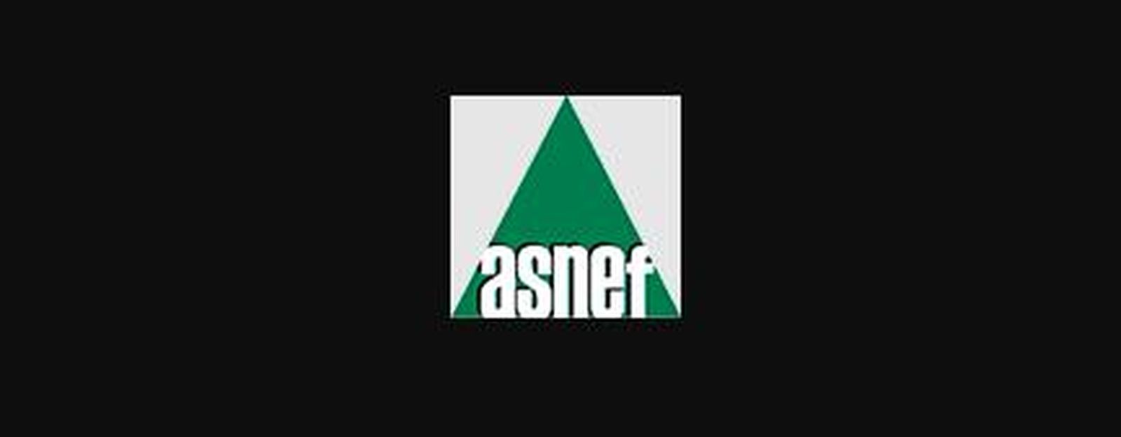 Logo de Asnef.