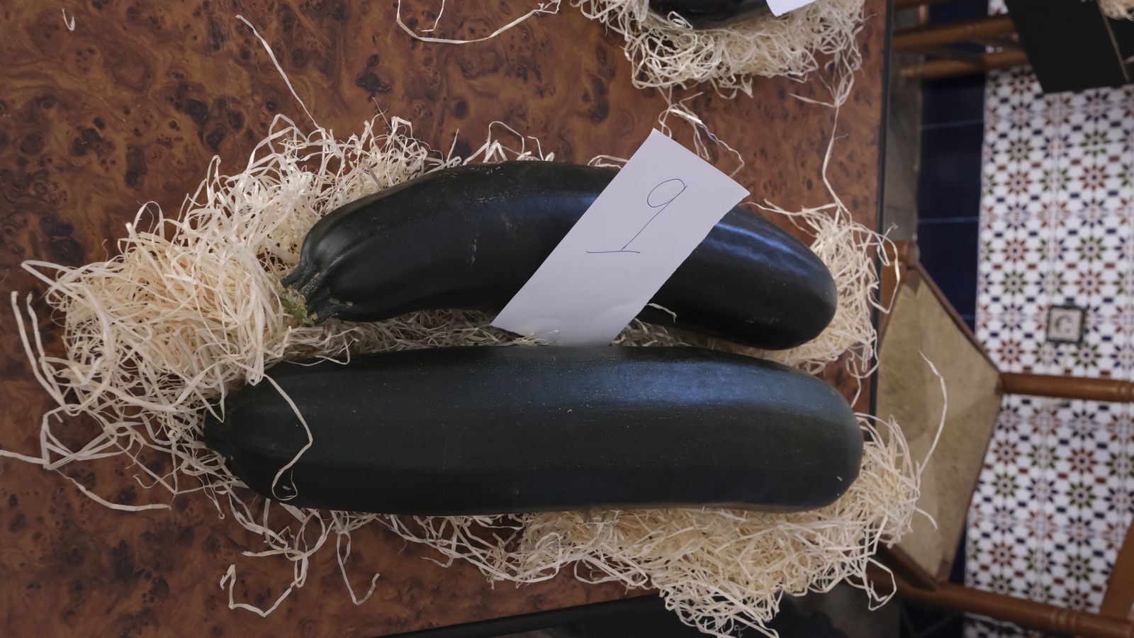 Fotogalería de las Fiestas de San Marcos en Adra.