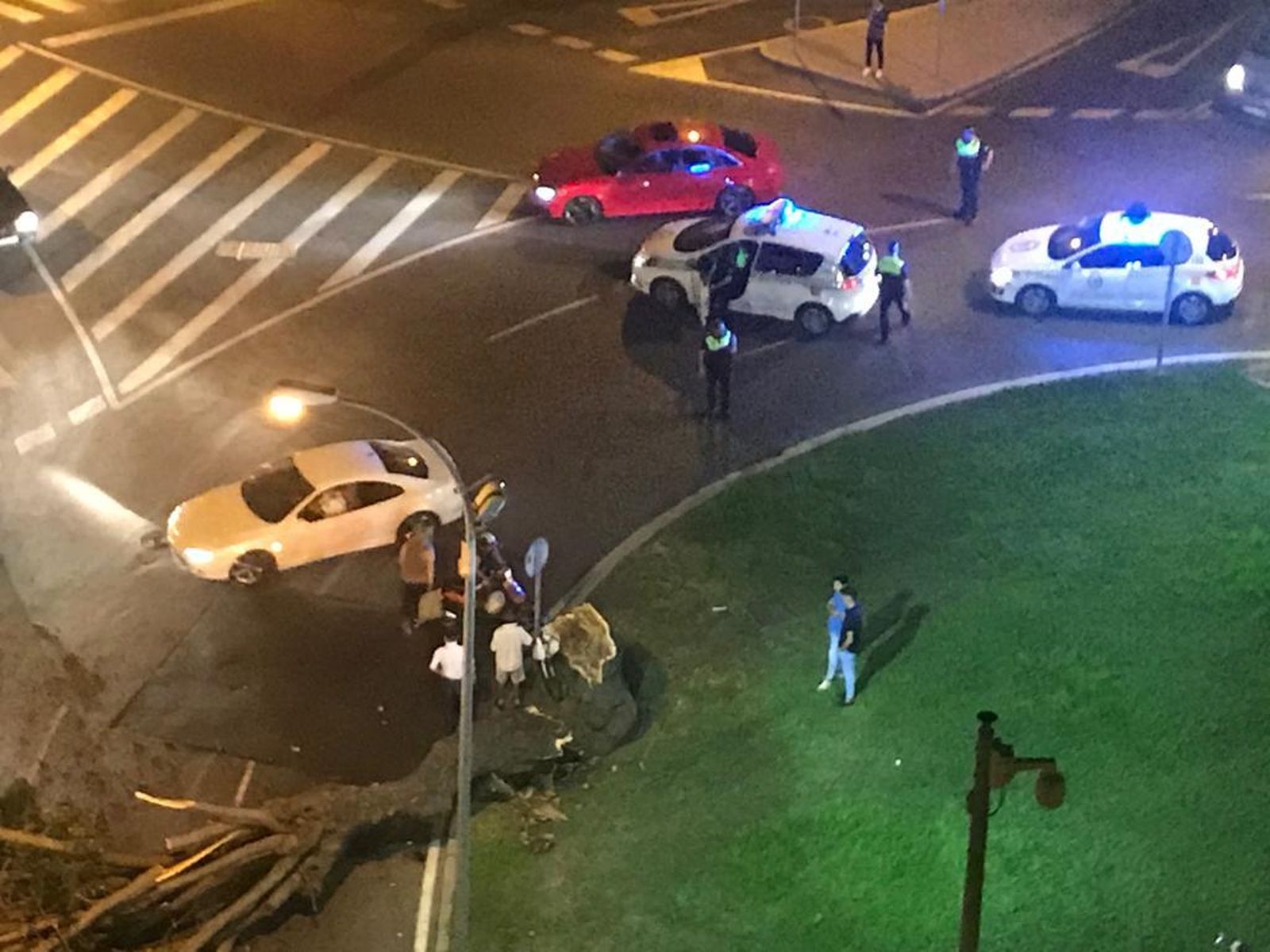 Un árbol se desploma en la rotonda de Juan Ramón Jiménez.