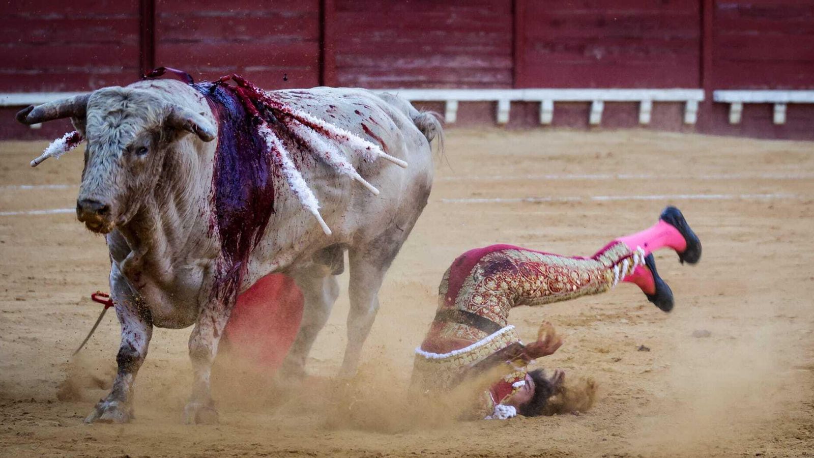 Roca Rey tras la cogida Roca Rey tras la cogida
