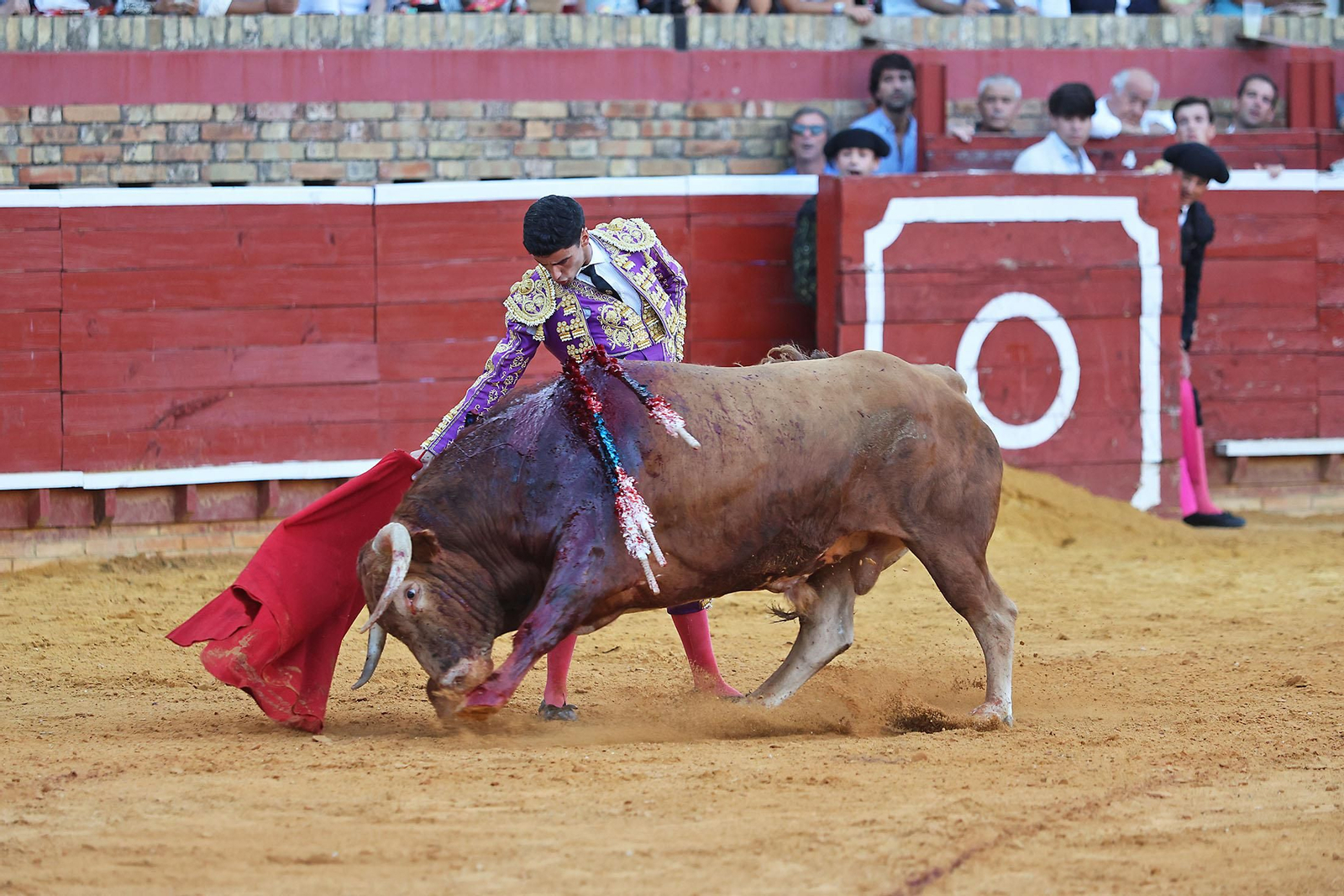 Toros La Merced 2024 Novillada con picadores(