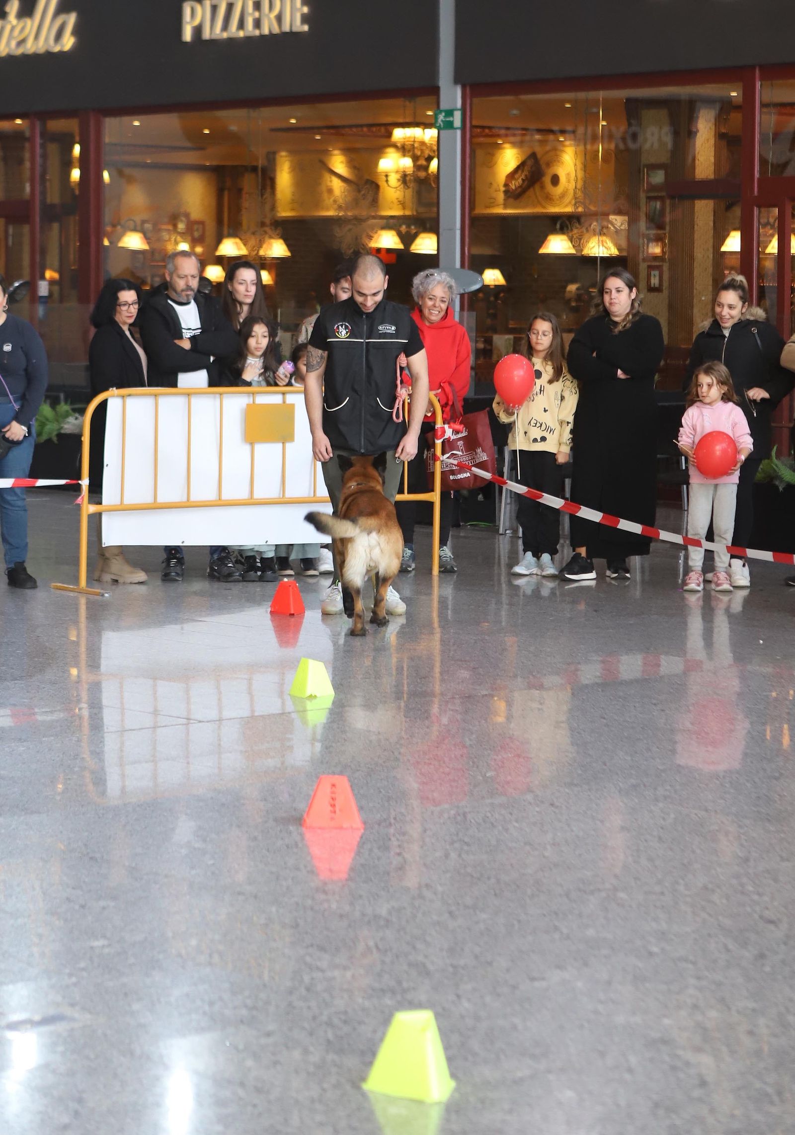 Fotos de la jornada 'Mi mascota, mi familia' en el Centro Comercial Bahía Plaza.