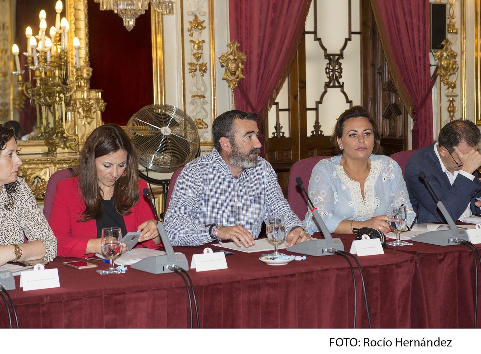 El diputado Javier Pizarro en su intervención en el pleno.