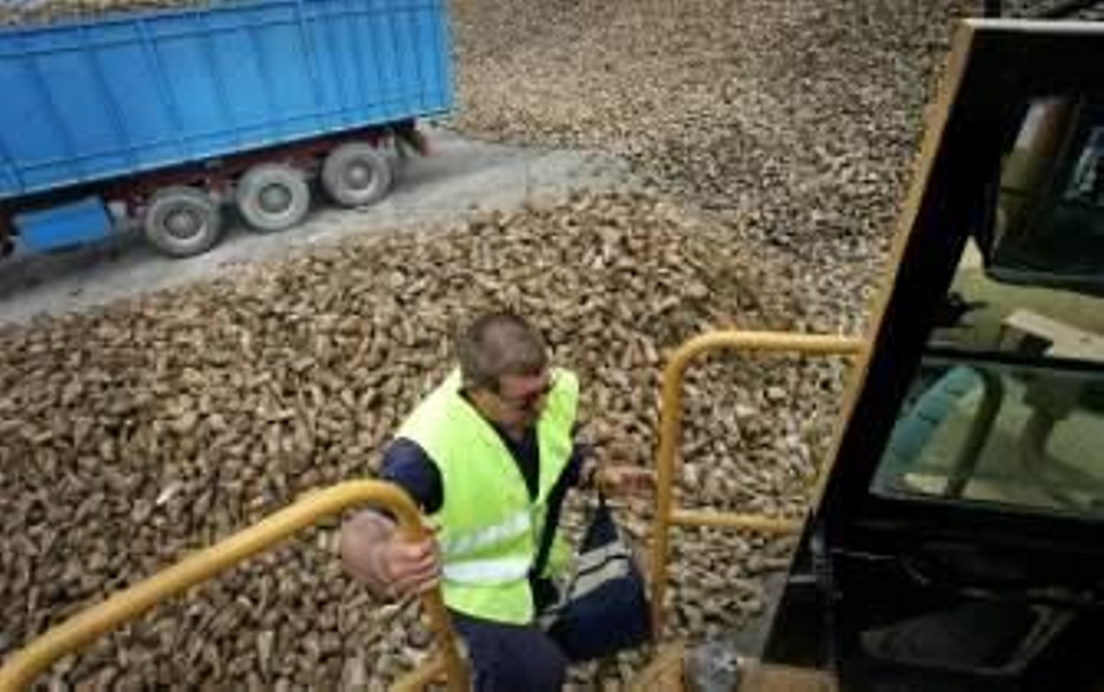 La azucarera de El Portal inicia a medio gas su primera campaña en solitario