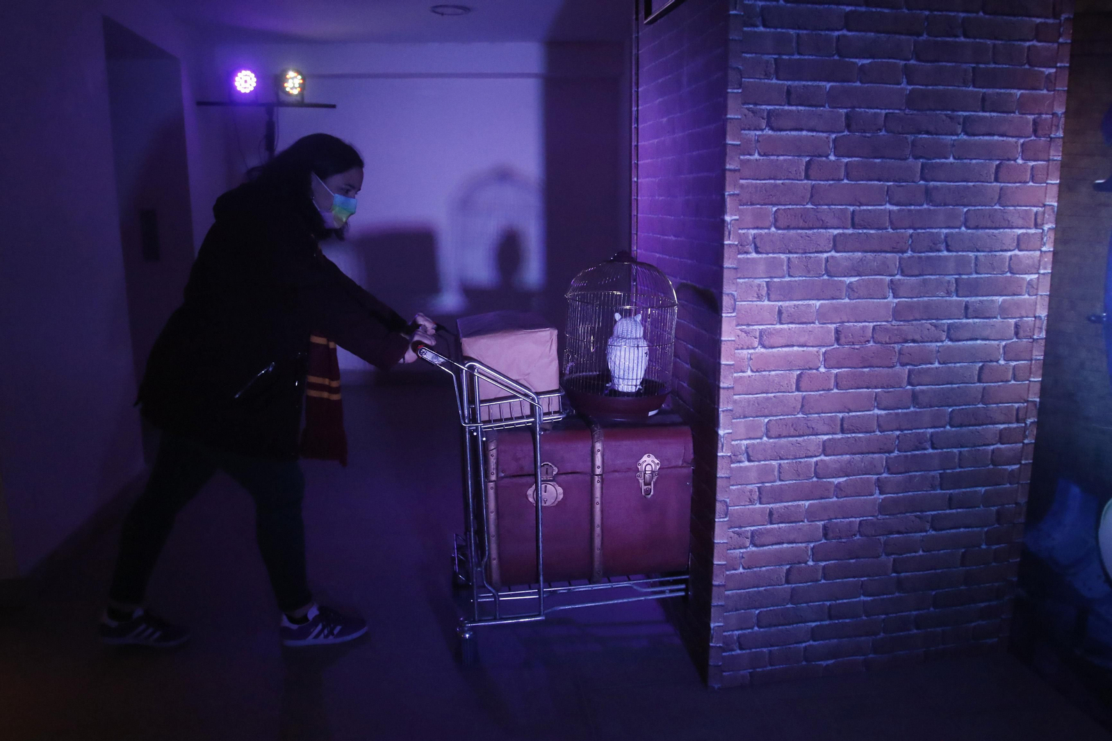 'El Jardín de la Magia' llega a Córdoba para acercar el universo de Harry Potter 'El Jardín de la Magia' llega a Córdoba para acercar el universo de Harry Potter