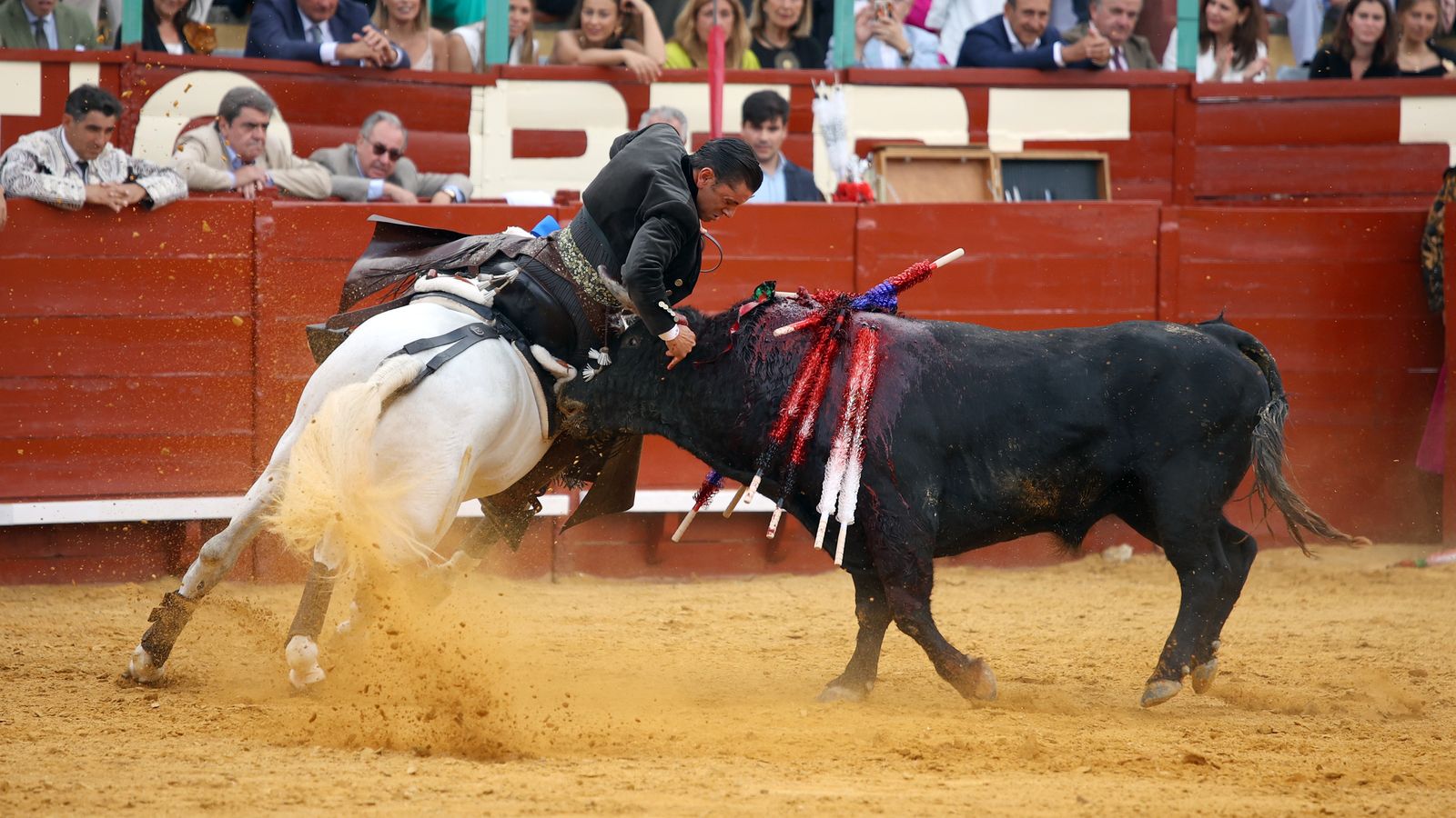Toros en Jerez: El arte ecuestre