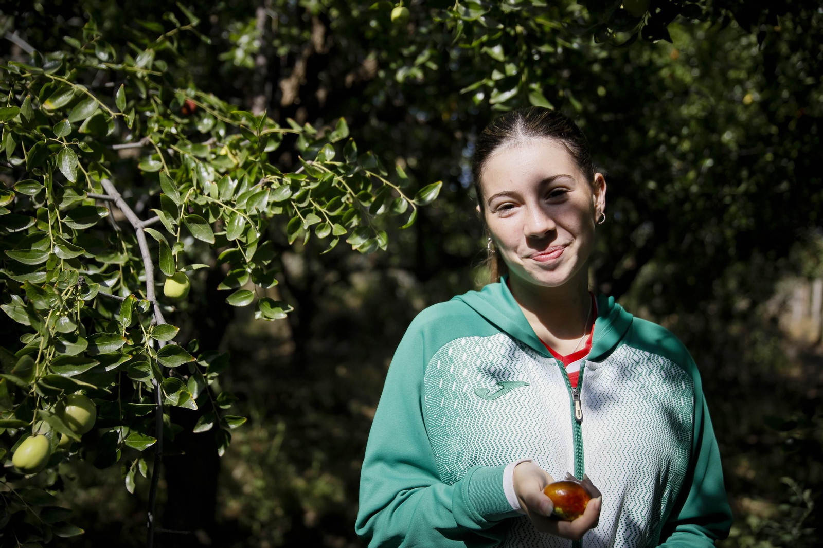 Imágenes del cultivo de azufaifas en Abrucena