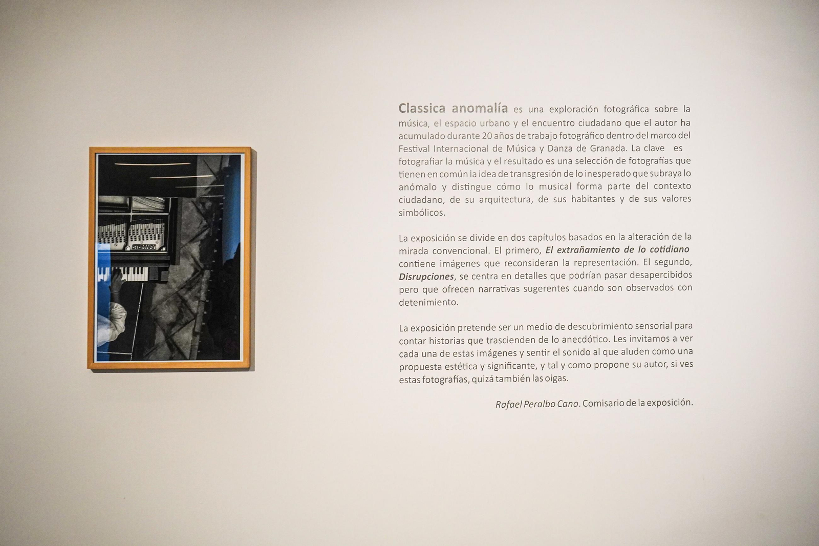 Todas las imágenes de la nueva exposición Classica anomalía en Granada
