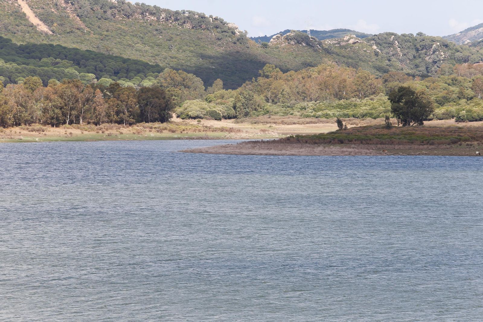 Fotos del pantano de Charco Redondo: de la sequía al 59% de capacidad en solo un año