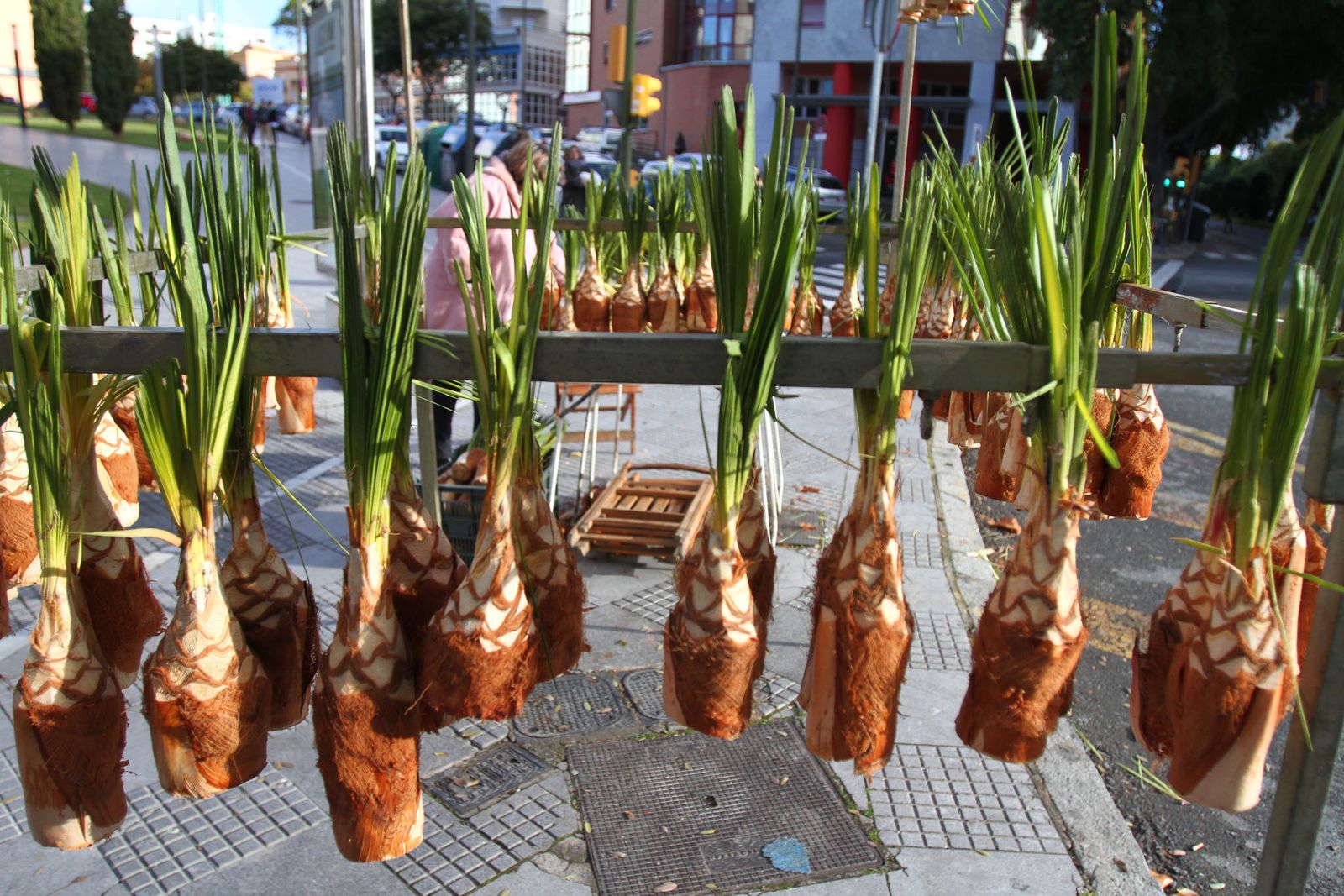 La procesión de San Sebastian en Imágenes.
