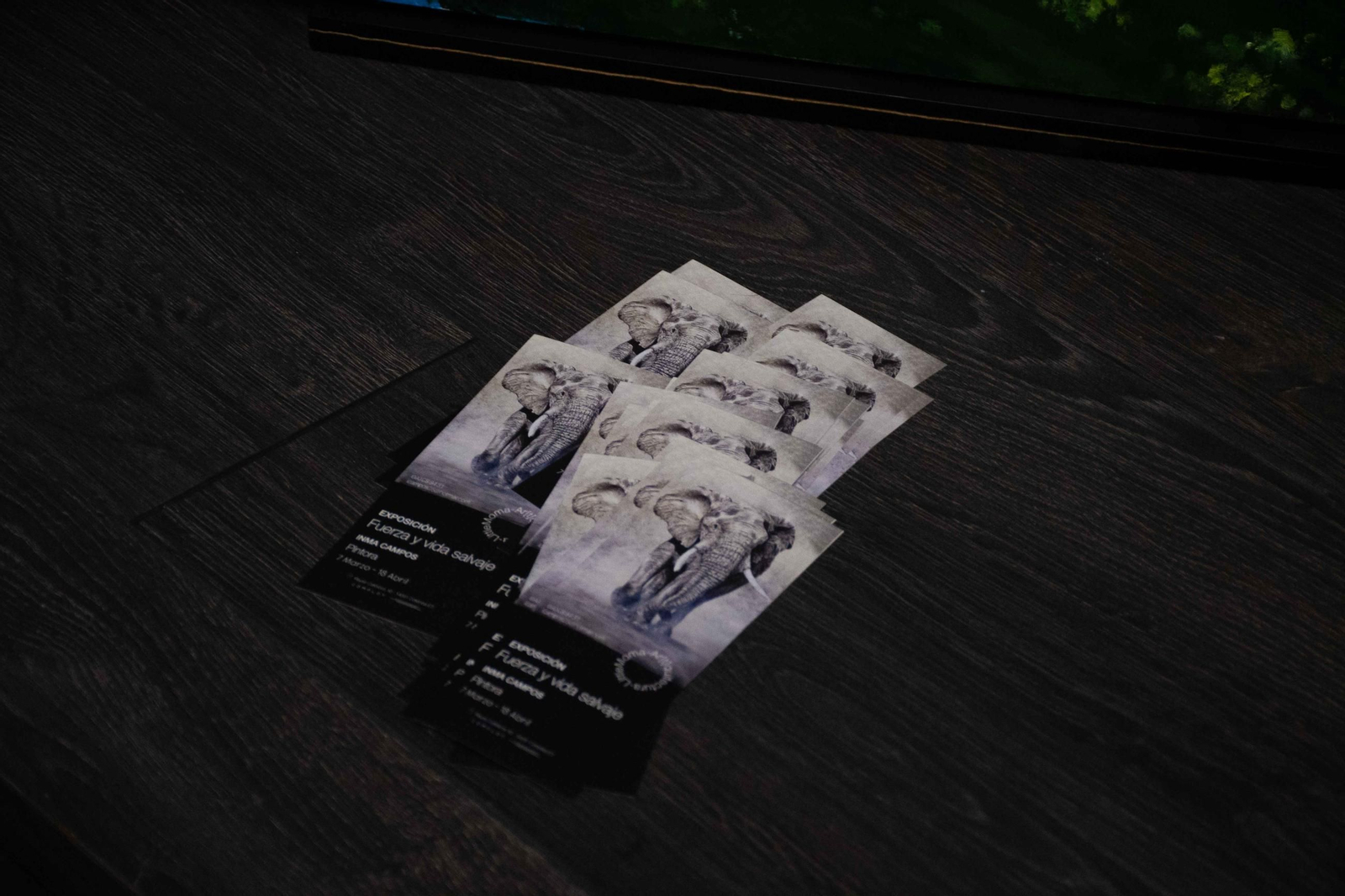 En imágenes, la pintora Inma Campos muestra su lado más "salvaje" en el centro de Córdoba