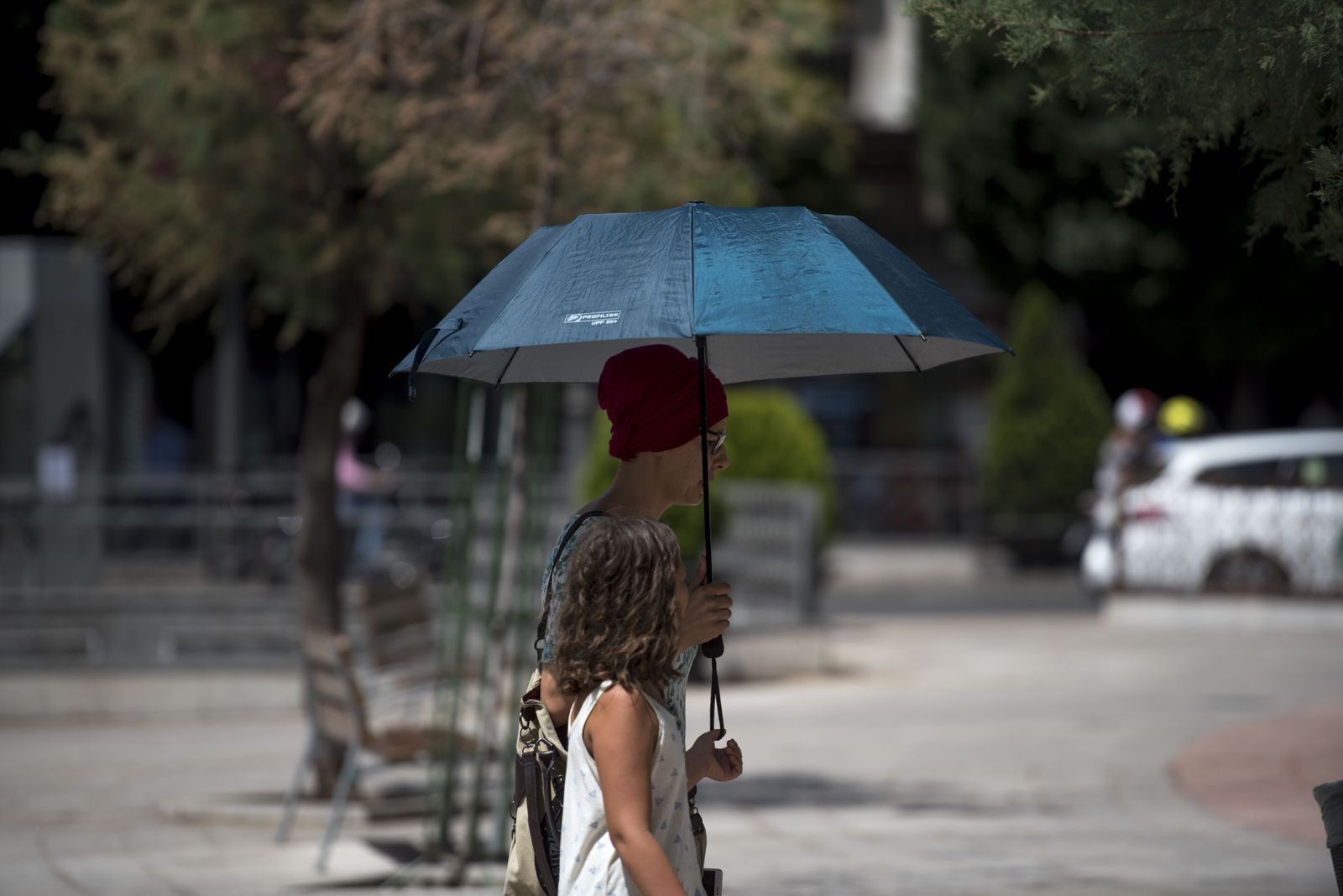Imágenes de la ola de calor en Granada