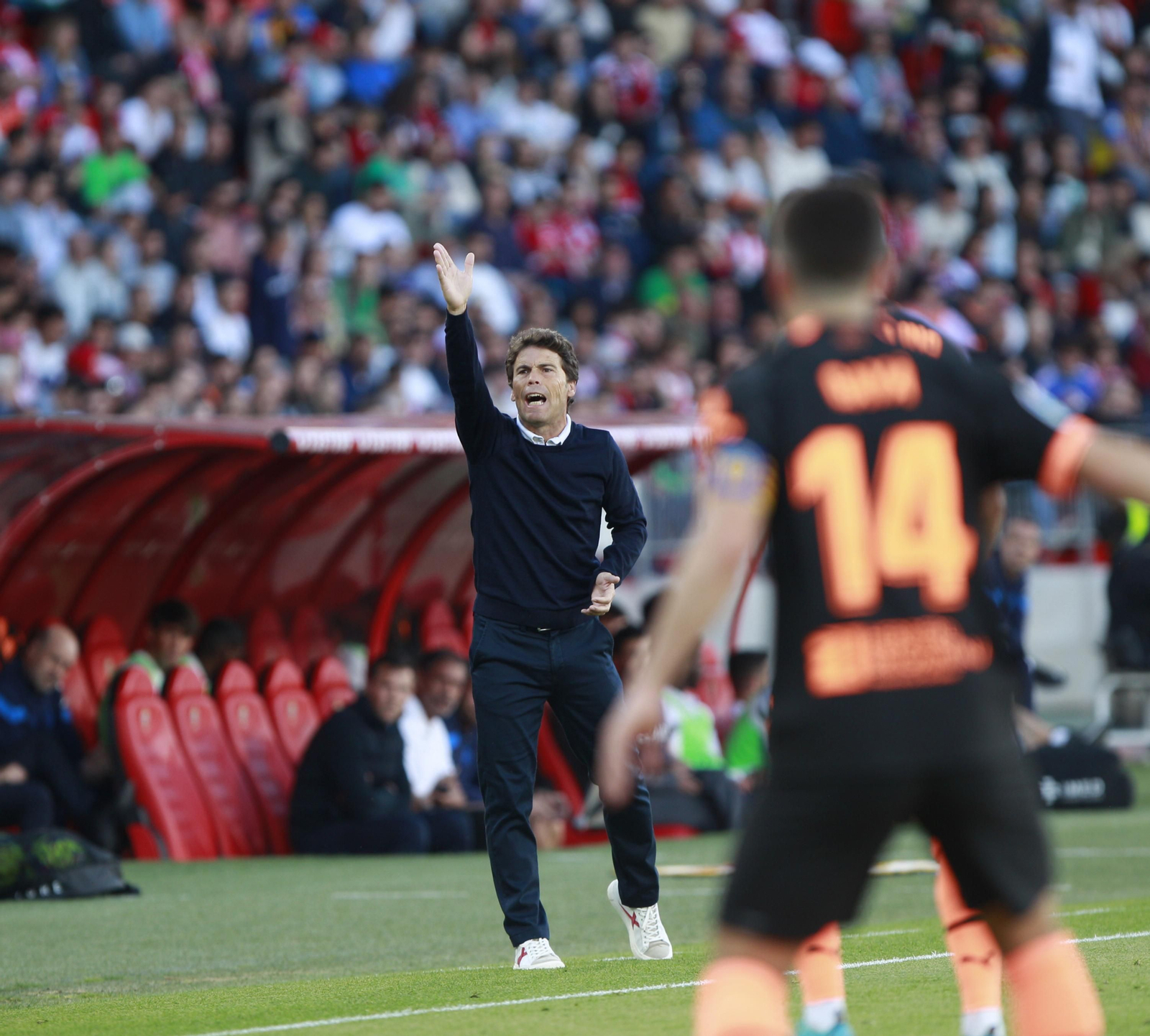 Fotogalería del partido de la Liga Santander, U.D. Almería-Valencia