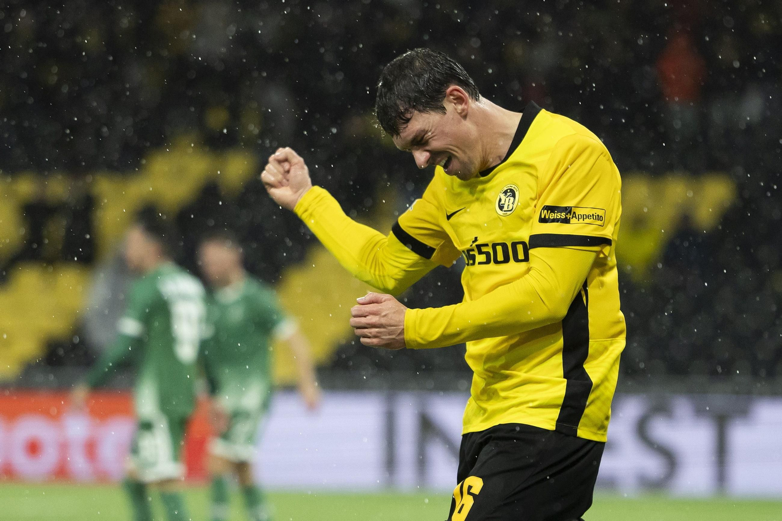 Young Boys-Ludogorets (15).jpg