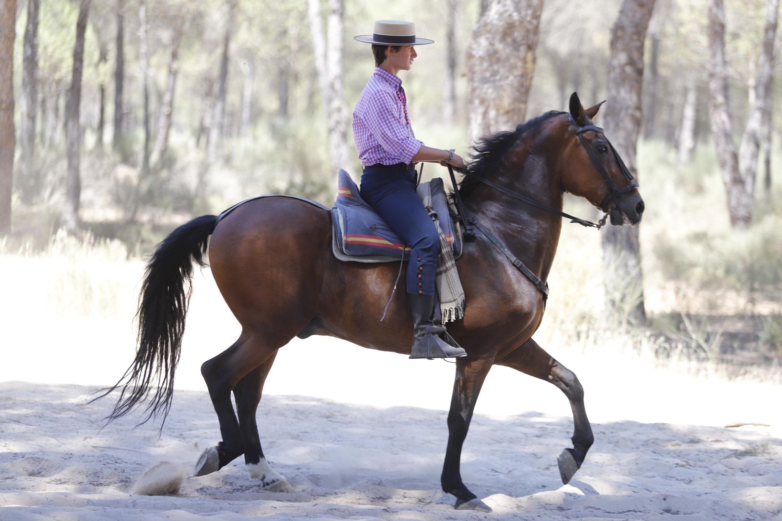 Todos los peregrinos de la Hermandad de Huelva, en imágenes