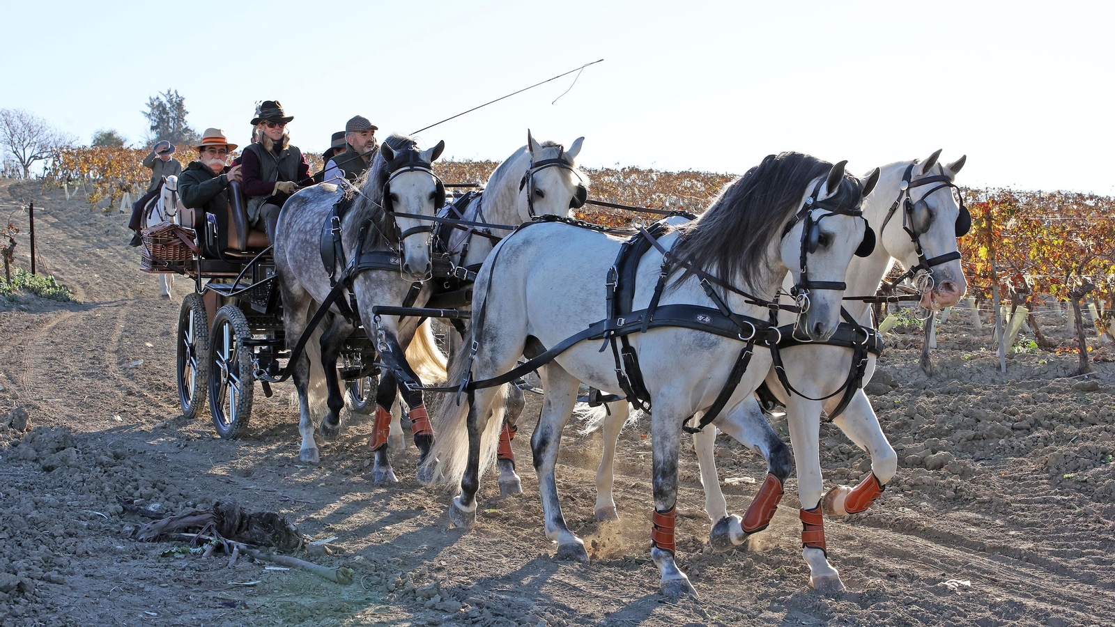 II Ruta Viñas de Jerez